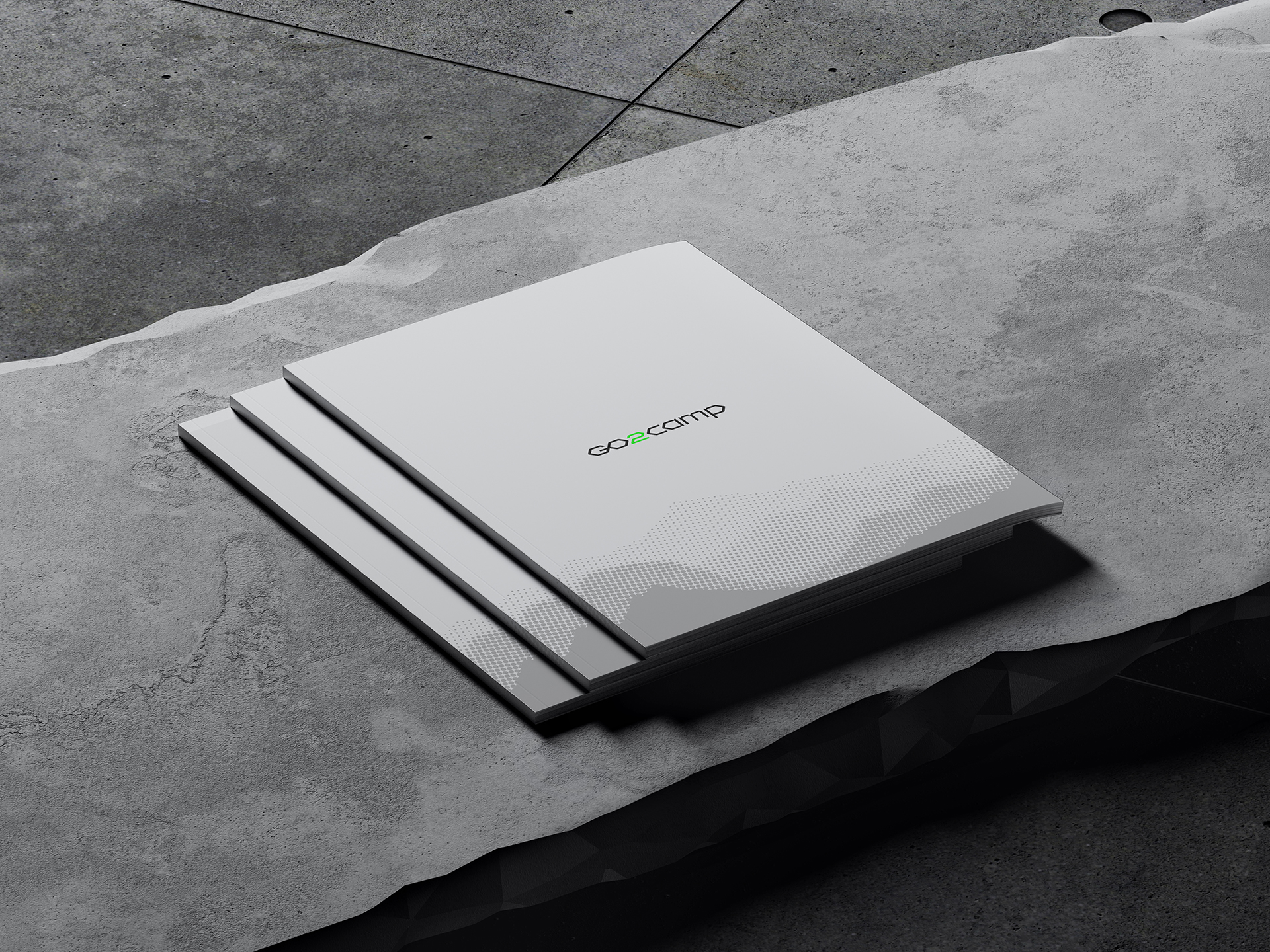 go2camp — Изображение №23 — Брендинг на Dprofile