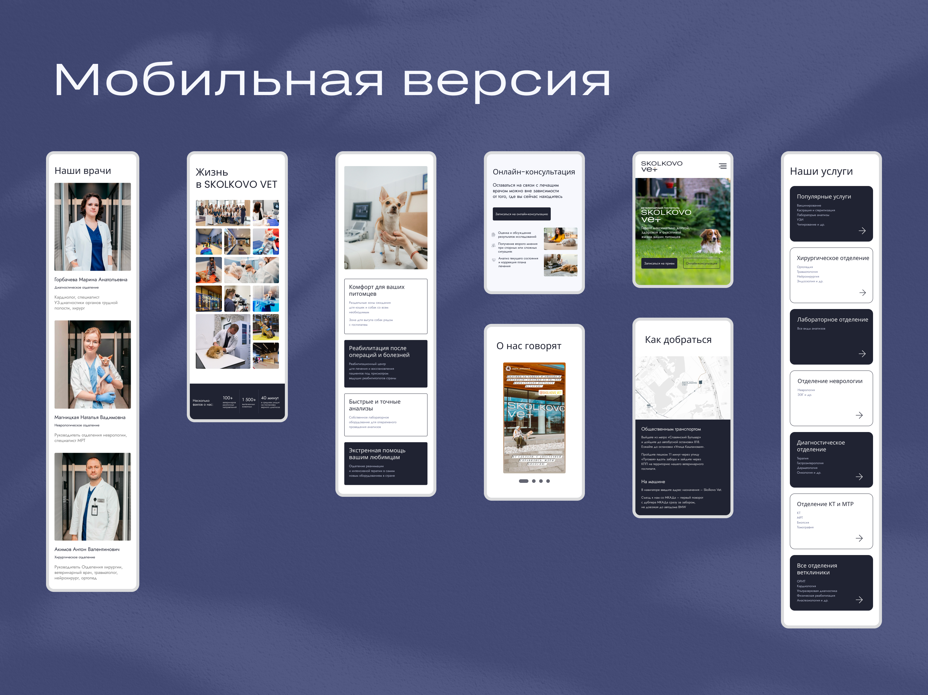 Редизайн сайта  SKOLKOVO VET — Изображение №8 — Интерфейсы на Dprofile