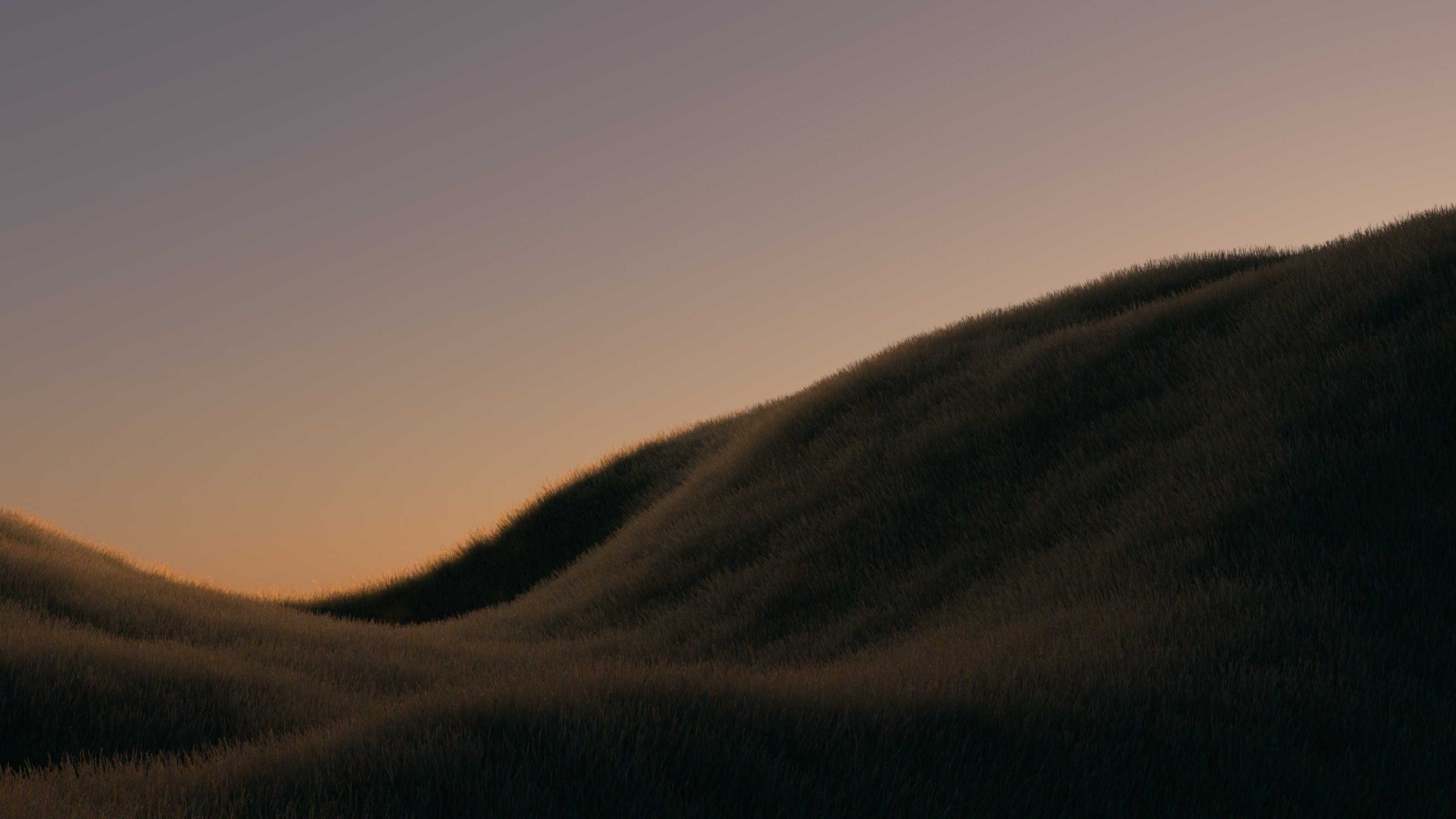 MORNING — Изображение №2 — 3D, Анимация на Dprofile