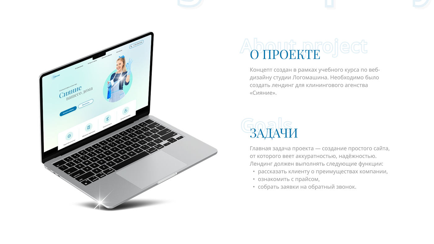 Дизайн-концепт лендинга для клининговой компании — Изображение №3 — Интерфейсы, Маркетинг на Dprofile