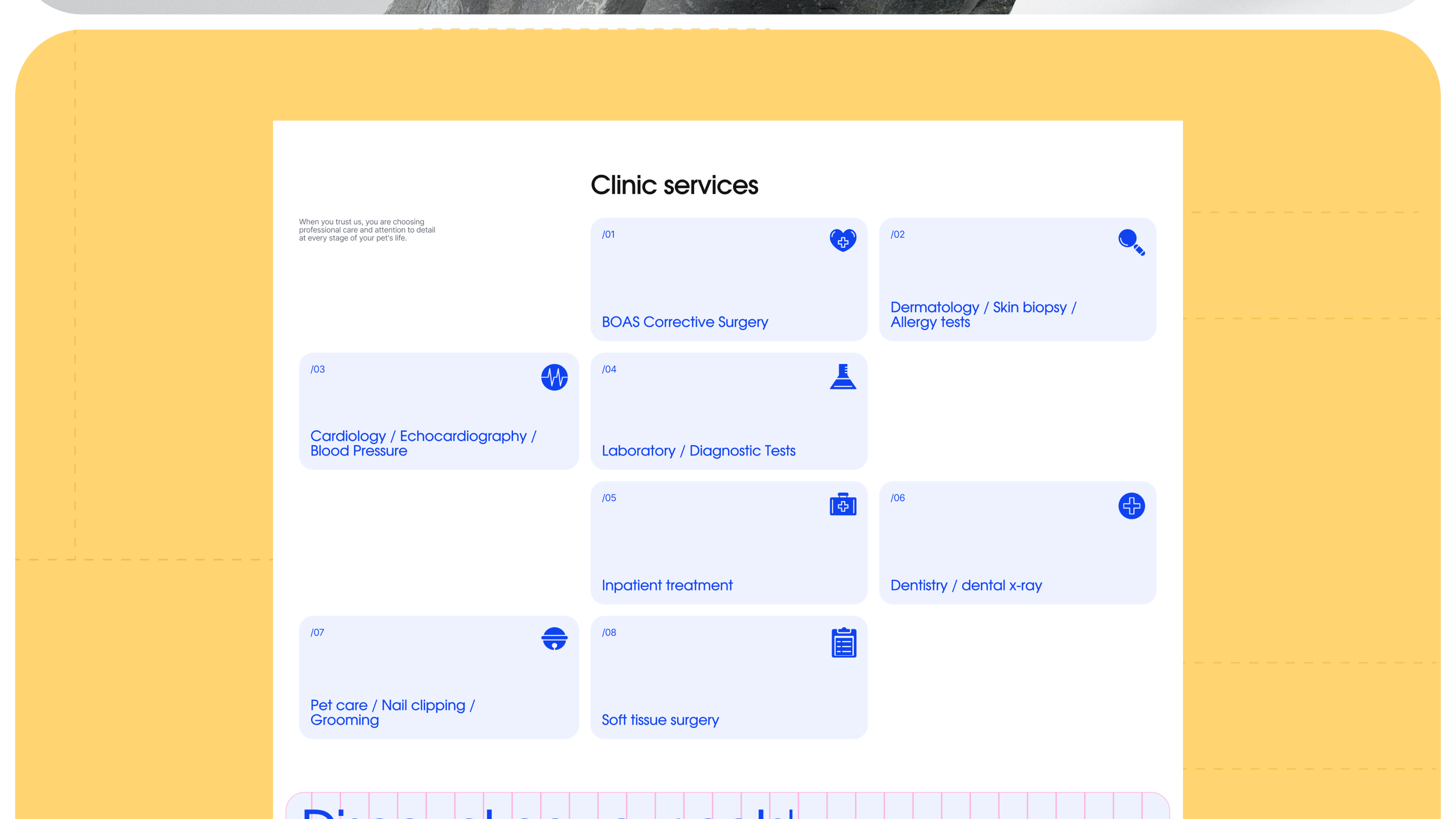 SASKAVET. Veterinary website — Изображение №11 — Интерфейсы, Брендинг на Dprofile