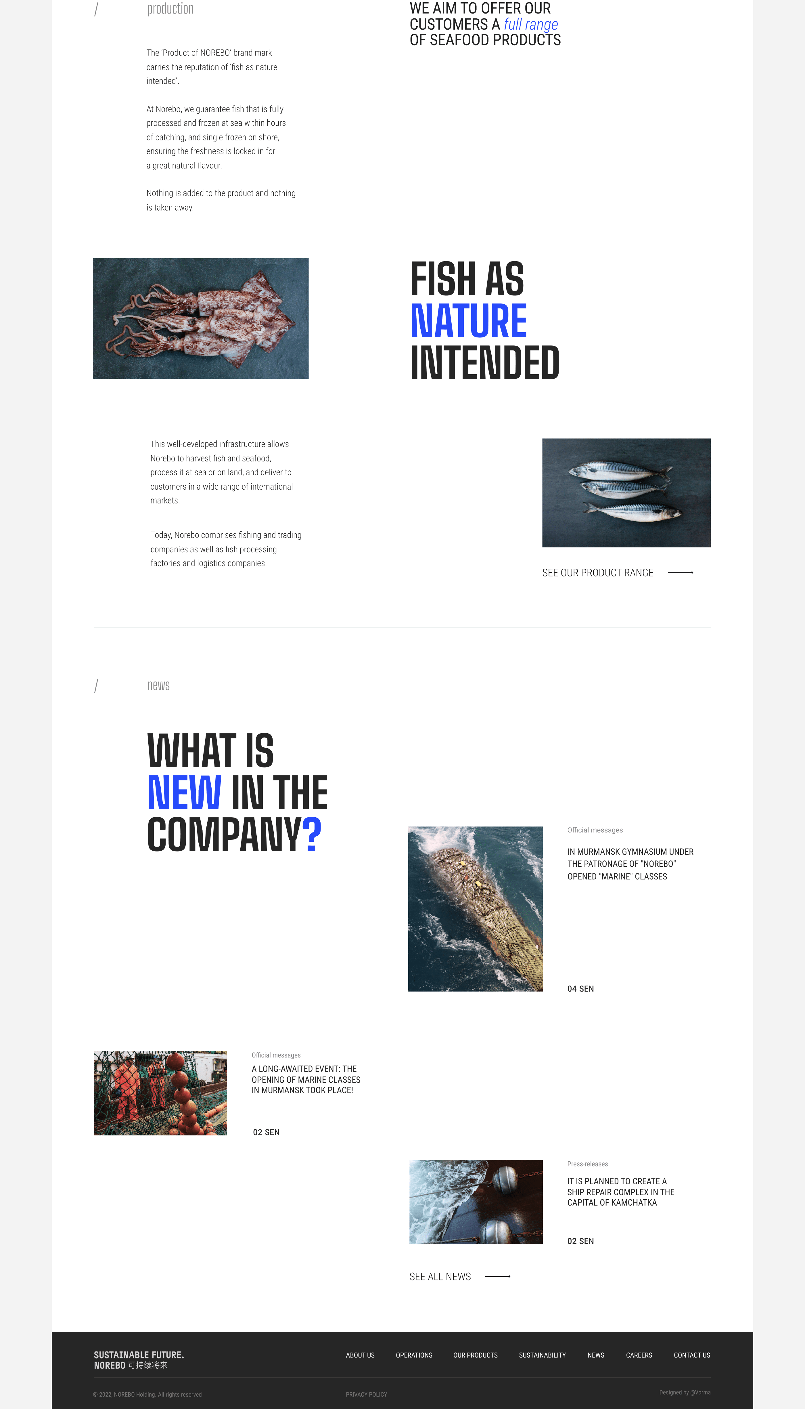 NOREBO - Fishing holding website — Изображение №4 — Интерфейсы на Dprofile
