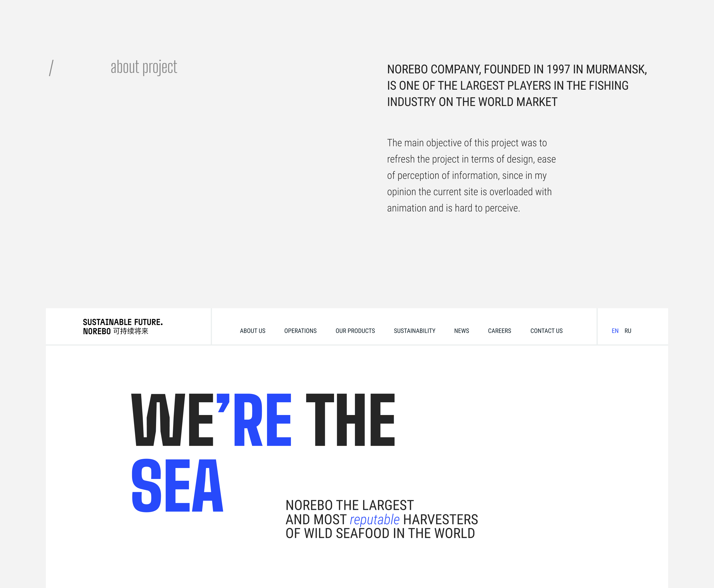 NOREBO - Fishing holding website — Изображение №2 — Интерфейсы на Dprofile