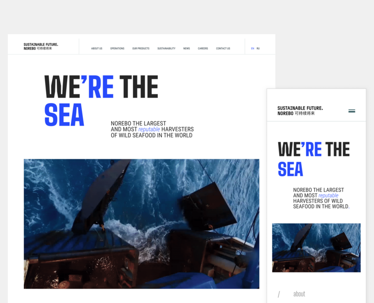 NOREBO - Fishing holding website — Интерфейсы на Dprofile