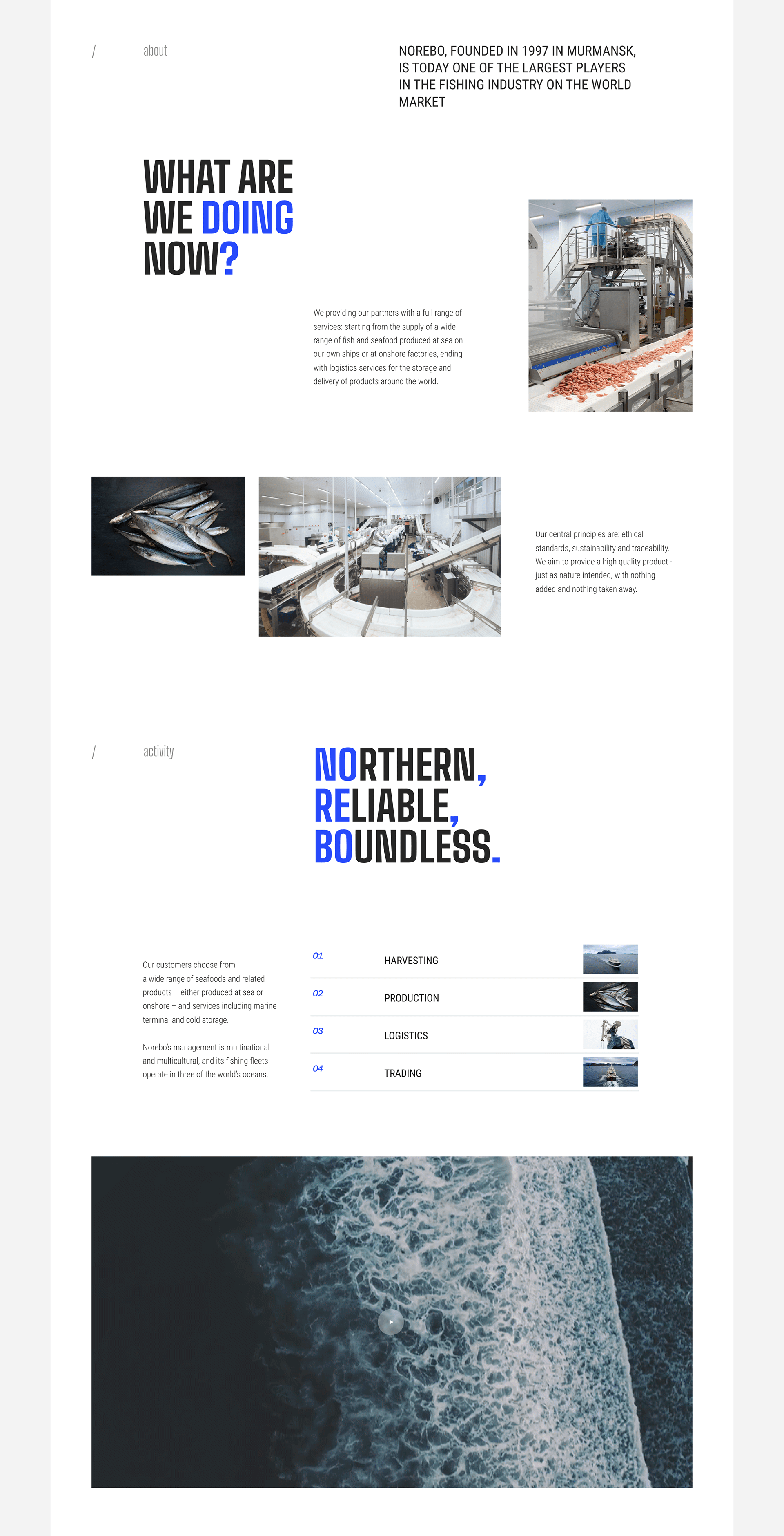 NOREBO - Fishing holding website — Изображение №3 — Интерфейсы на Dprofile