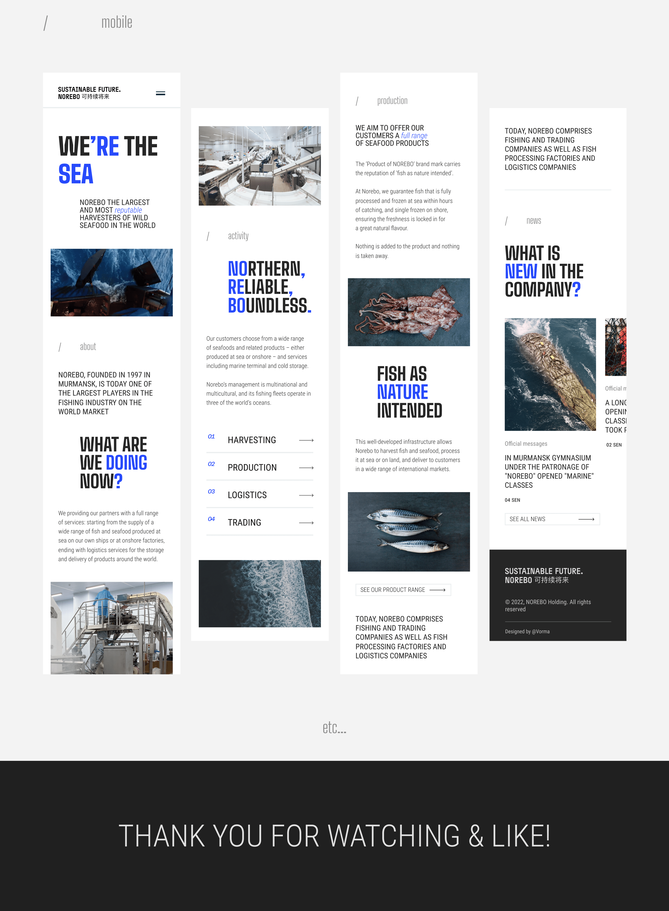 NOREBO - Fishing holding website — Изображение №7 — Интерфейсы на Dprofile