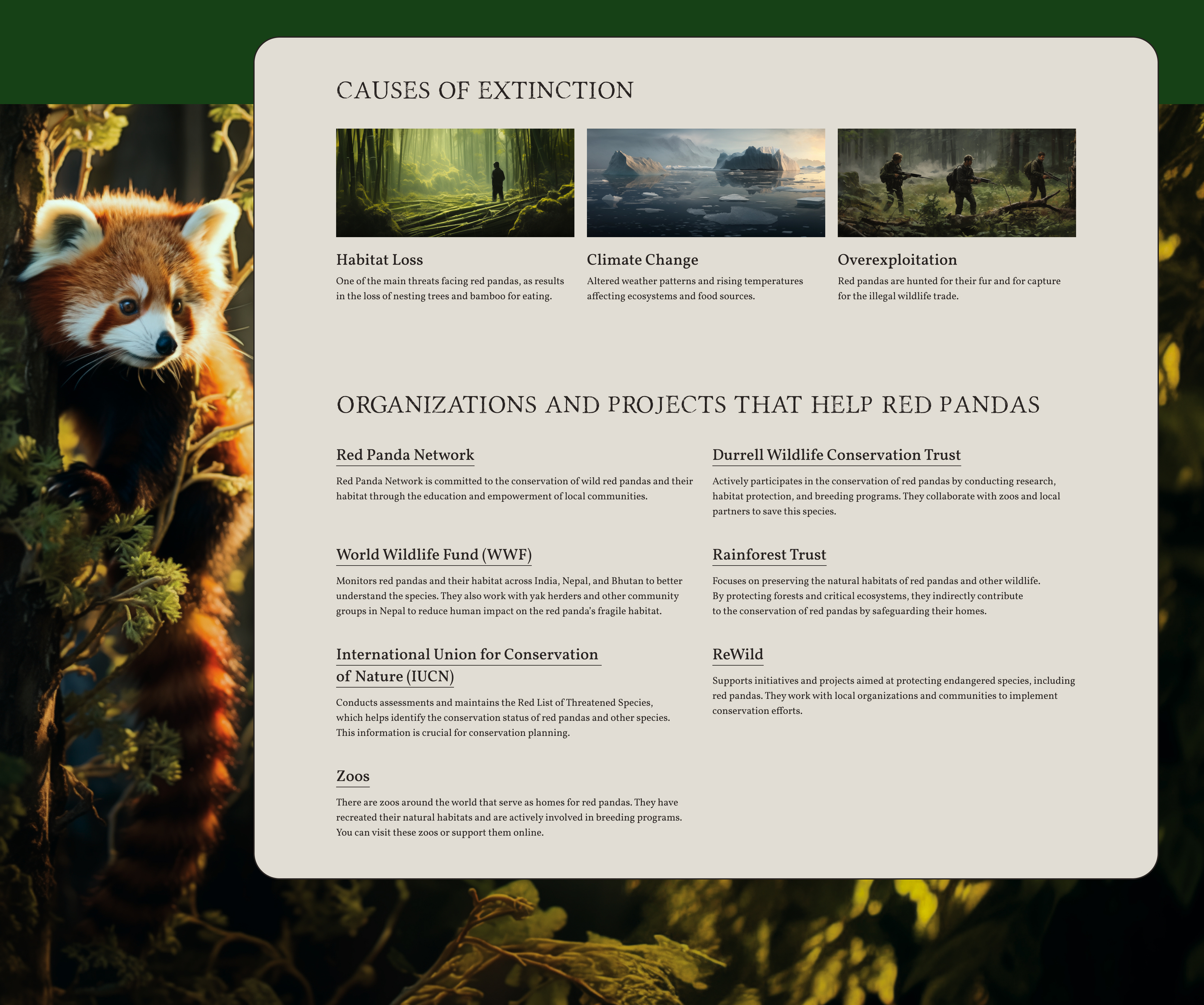 Protecting Endangered Animals / Website Concept Design — Изображение №13 — Интерфейсы на Dprofile