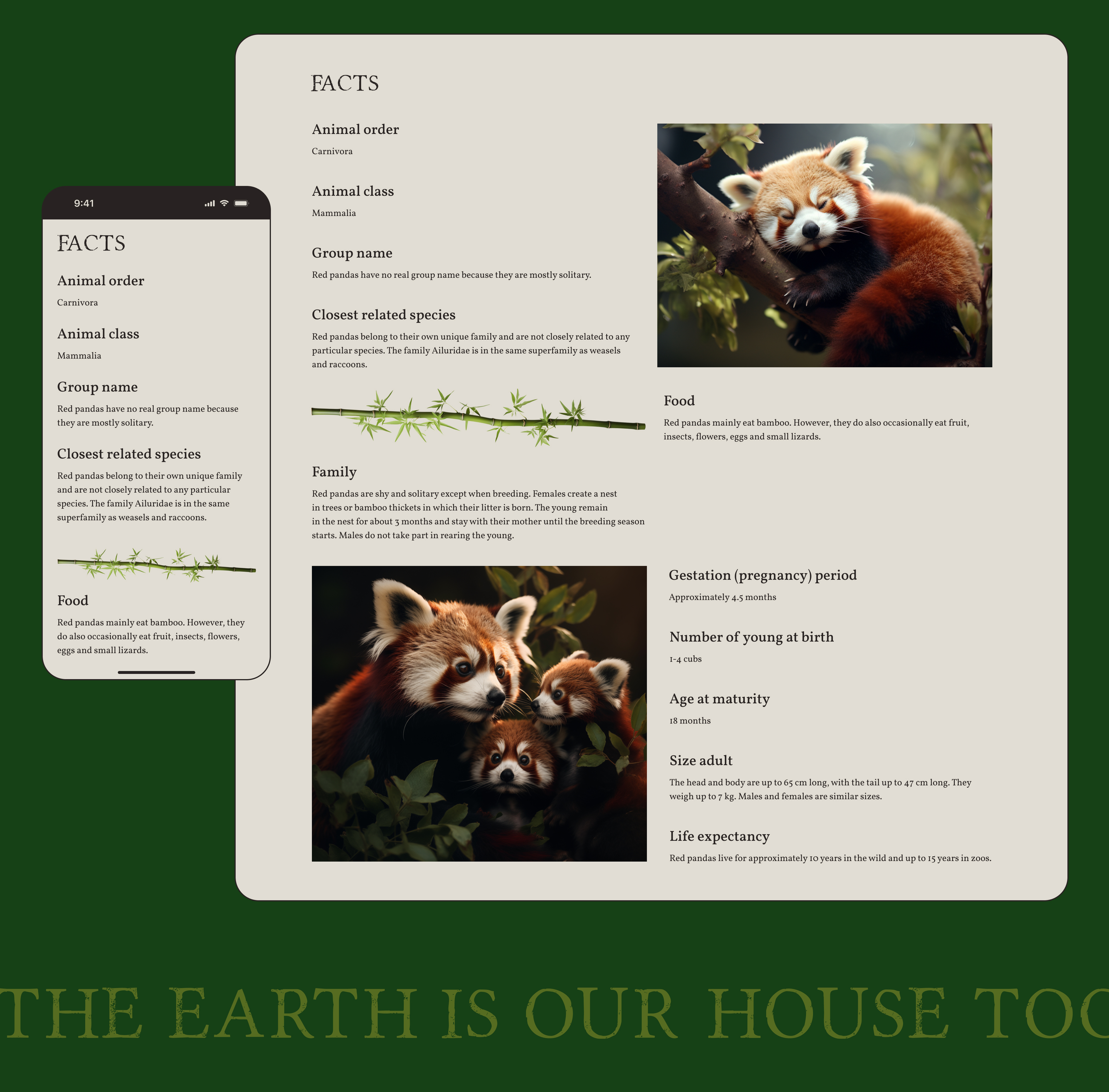 Protecting Endangered Animals / Website Concept Design — Изображение №12 — Интерфейсы на Dprofile