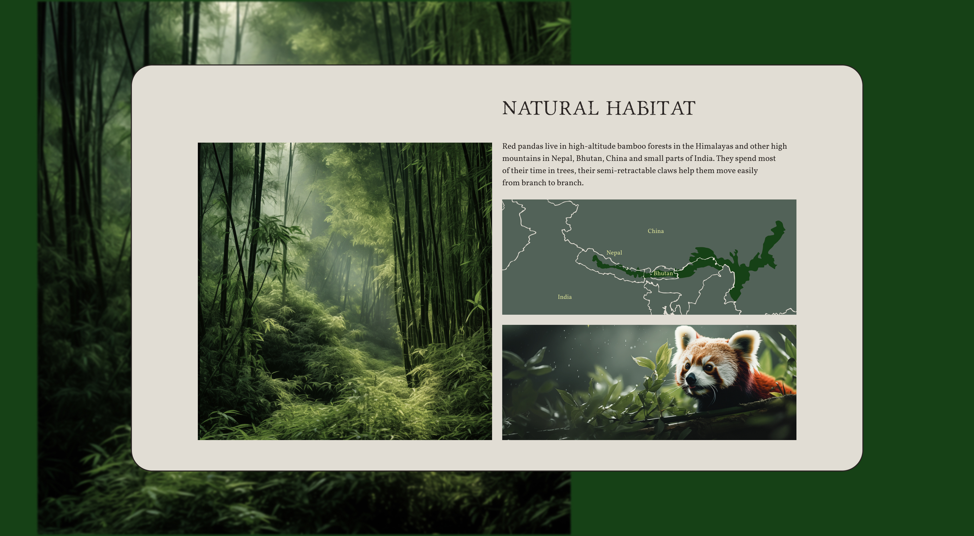 Protecting Endangered Animals / Website Concept Design — Изображение №10 — Интерфейсы на Dprofile
