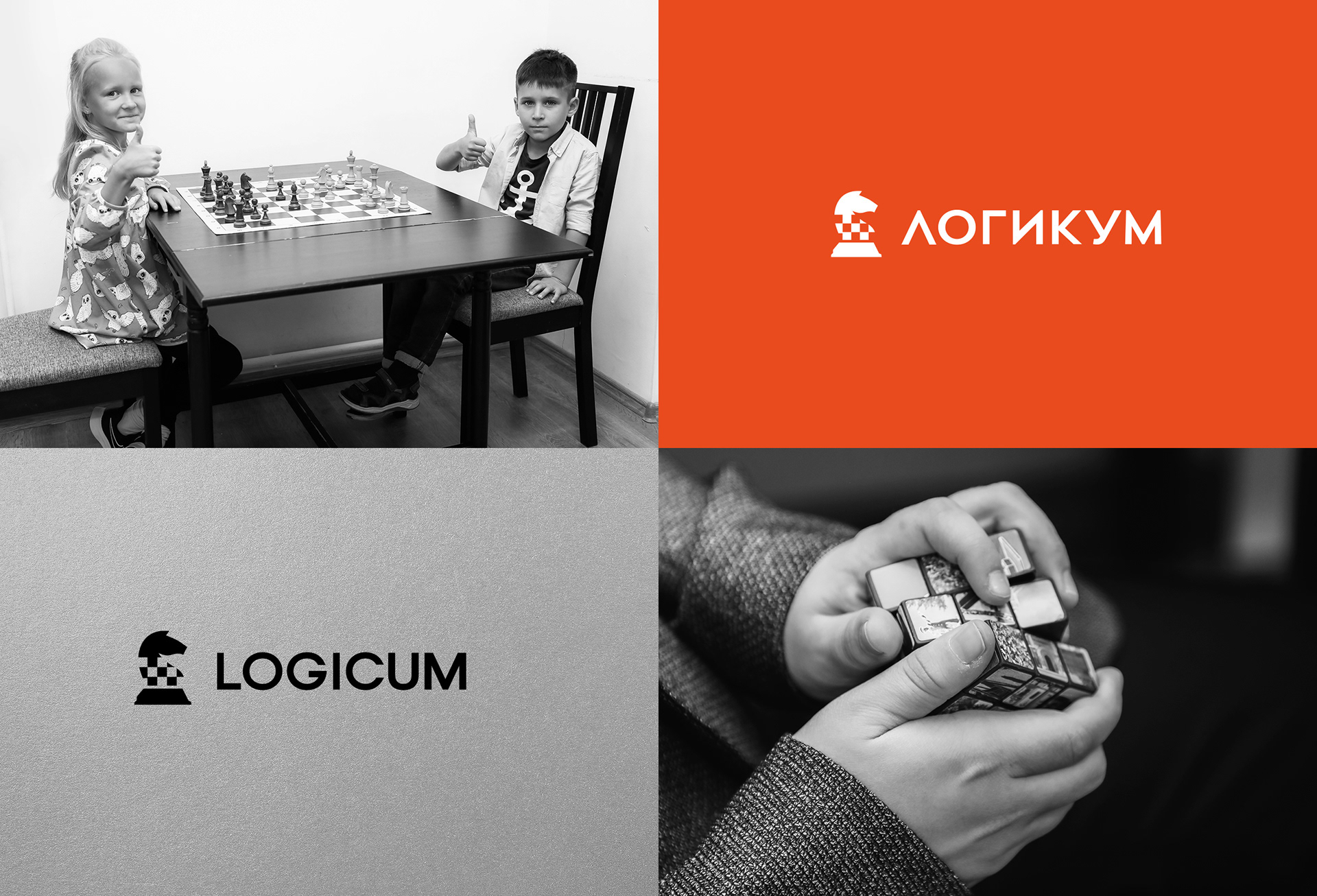 Logicum — Изображение №11 — Брендинг, Анимация на Dprofile