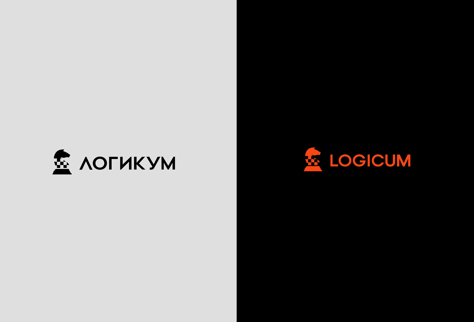 Logicum — Изображение №3 — Брендинг, Анимация на Dprofile
