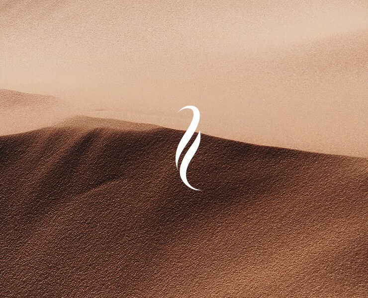 Uta Store — Брендинг, Графика на Dprofile