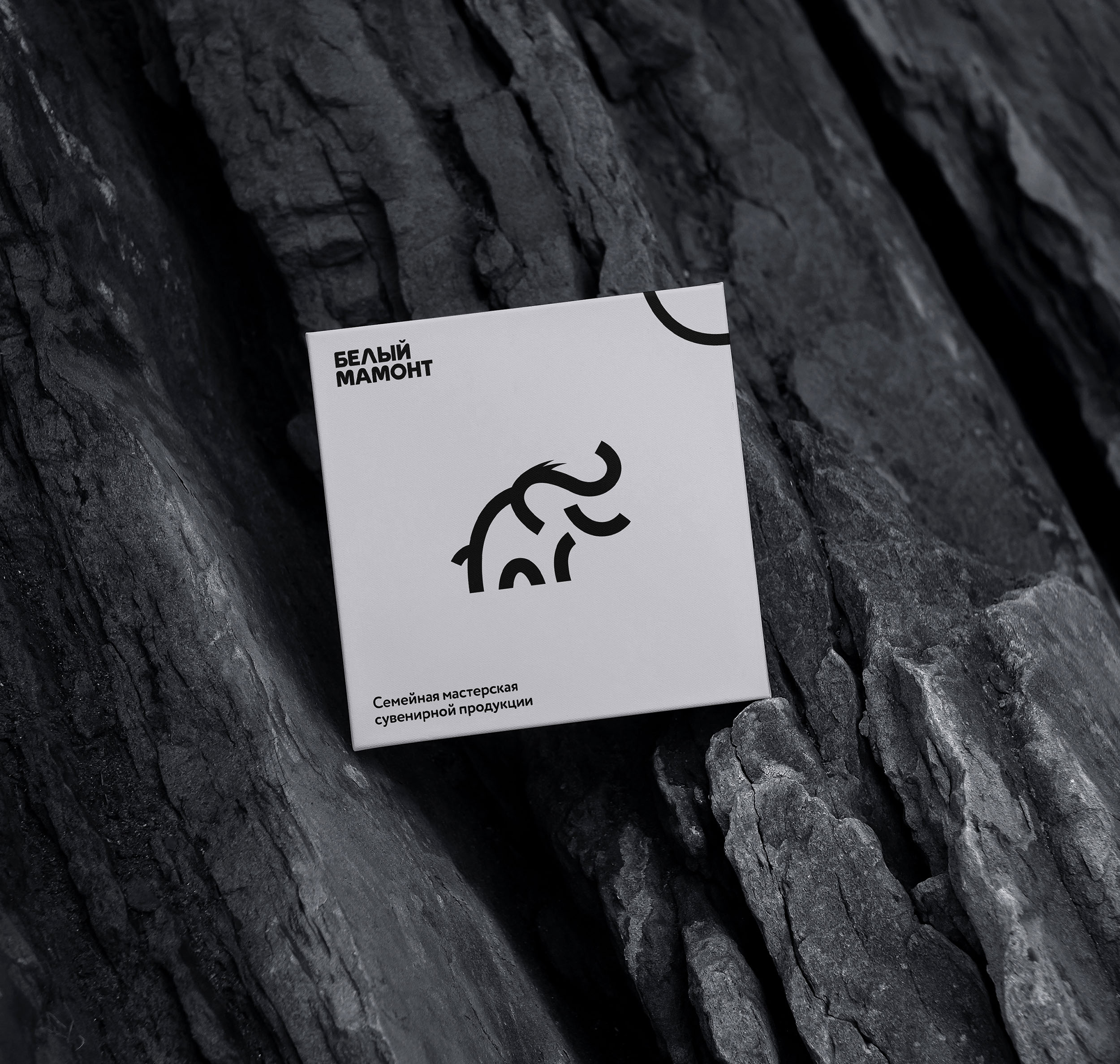 Белый мамонт — Изображение №9 — Брендинг на Dprofile