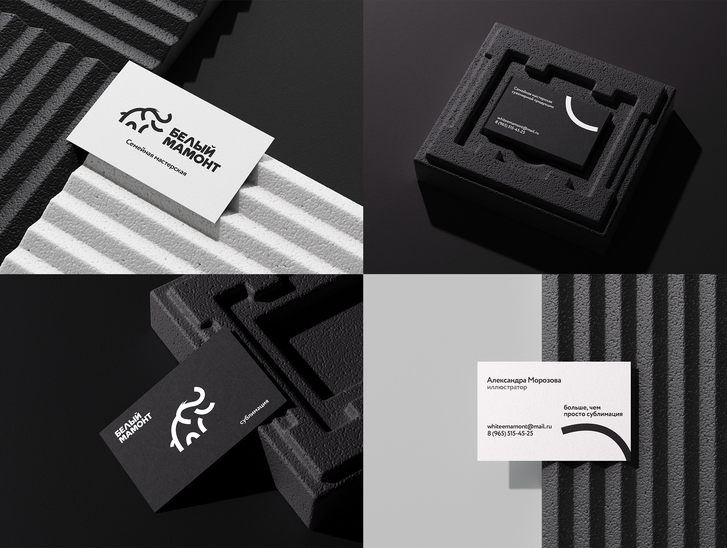 Белый мамонт — Изображение №6 — Брендинг на Dprofile