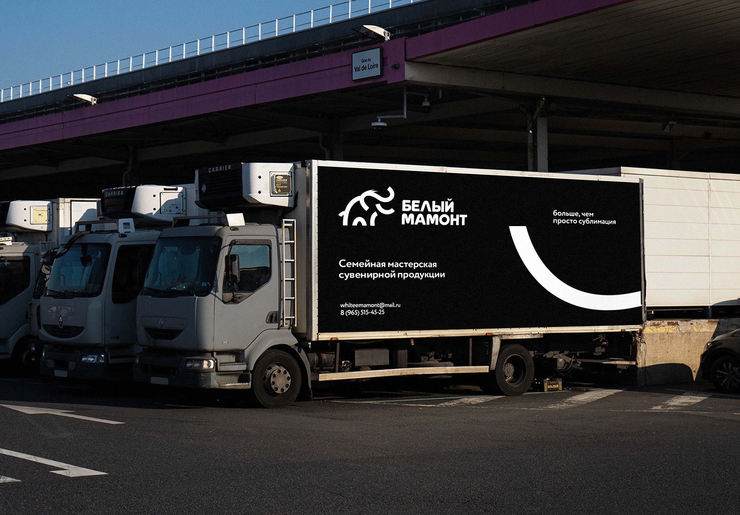 Белый мамонт — Изображение №20 — Брендинг на Dprofile