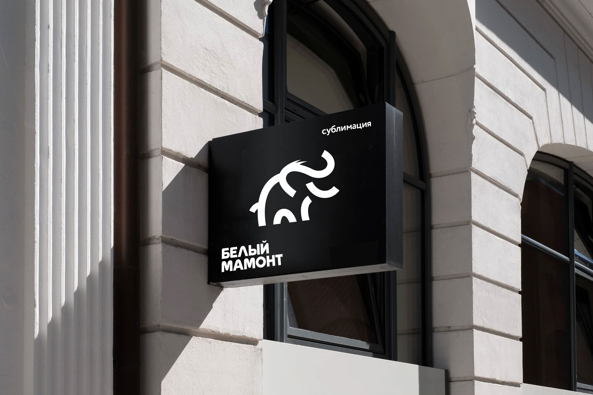 Белый мамонт — Изображение №14 — Брендинг на Dprofile