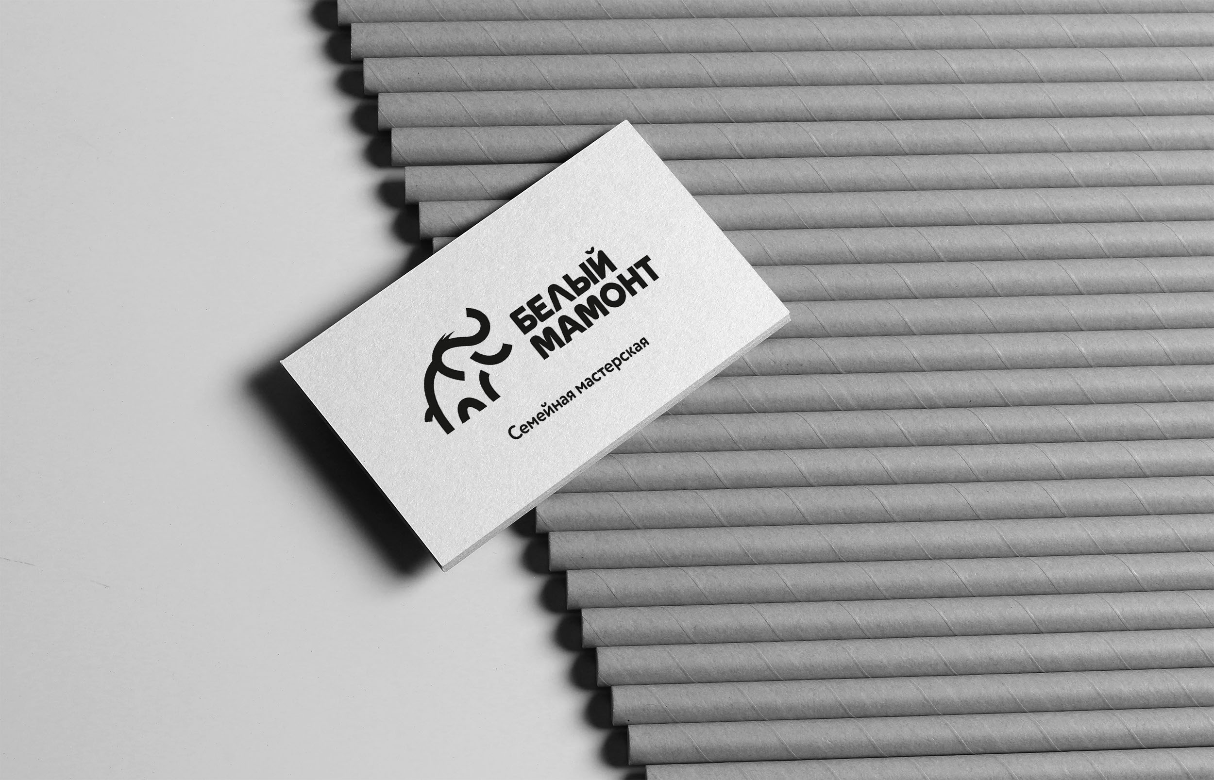 Белый мамонт — Изображение №4 — Брендинг на Dprofile