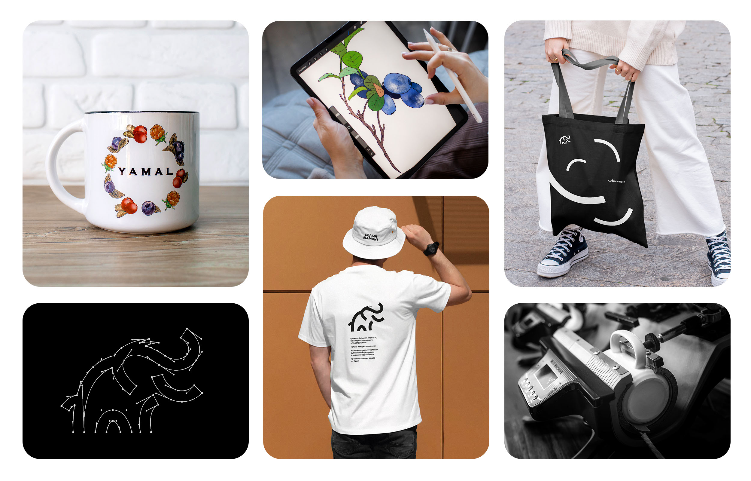 Белый мамонт — Изображение №3 — Брендинг на Dprofile