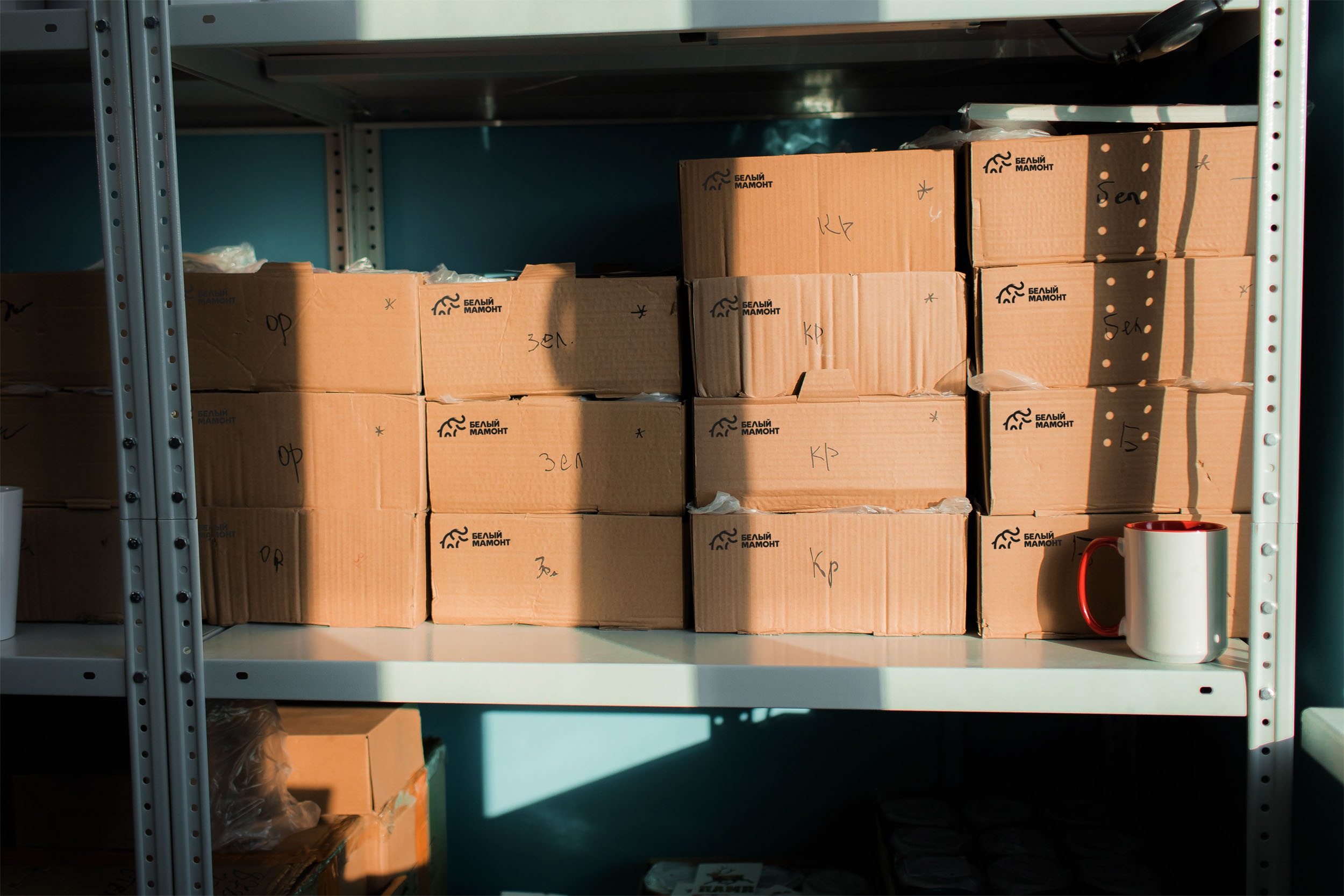 Белый мамонт — Изображение №22 — Брендинг на Dprofile