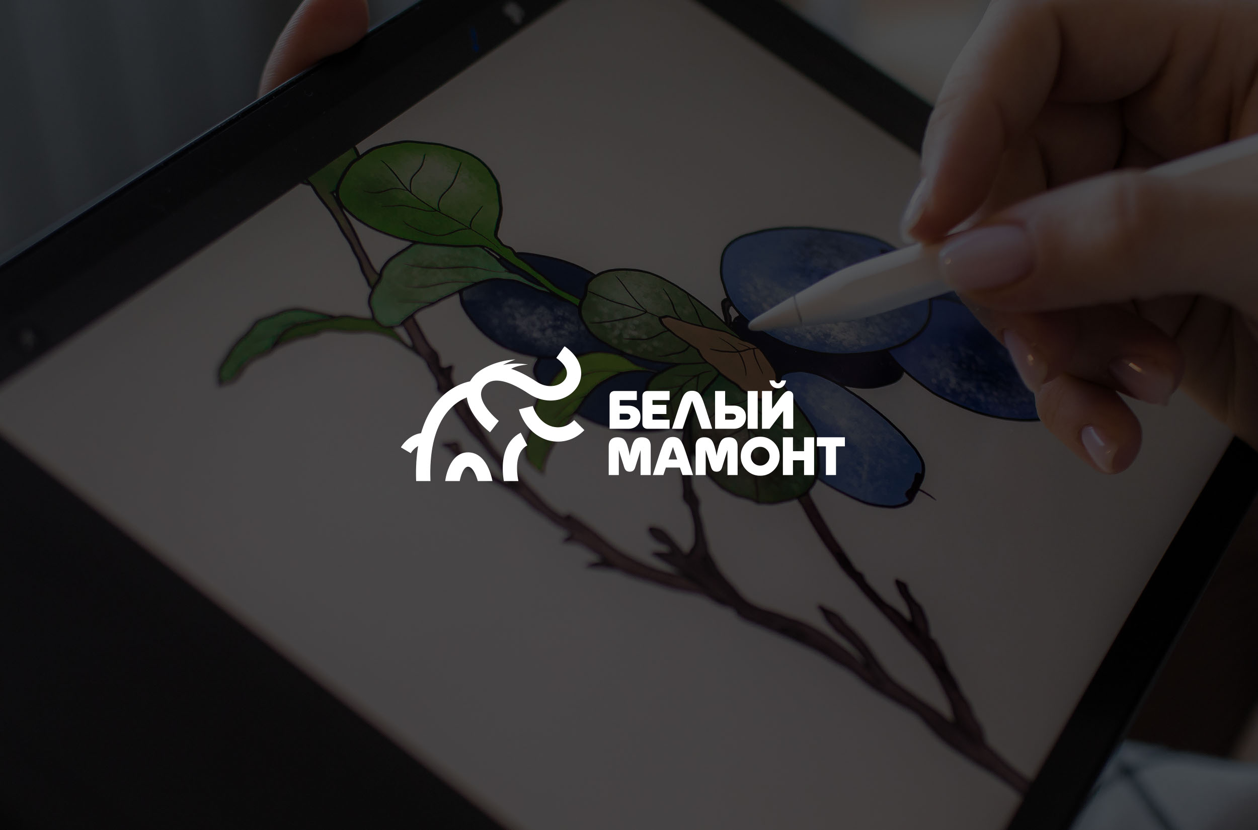 Белый мамонт — Изображение №2 — Брендинг на Dprofile