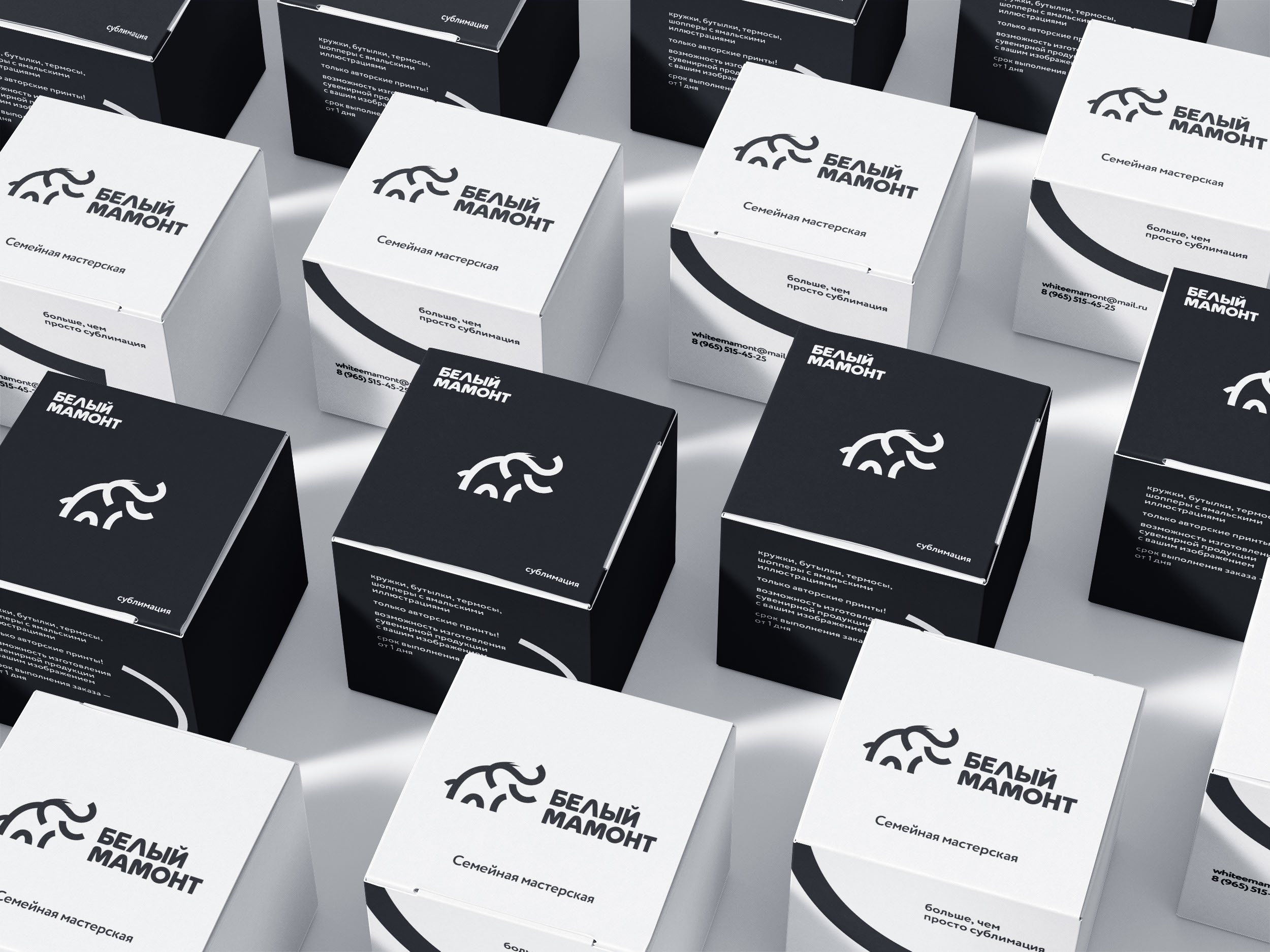 Белый мамонт — Изображение №17 — Брендинг на Dprofile