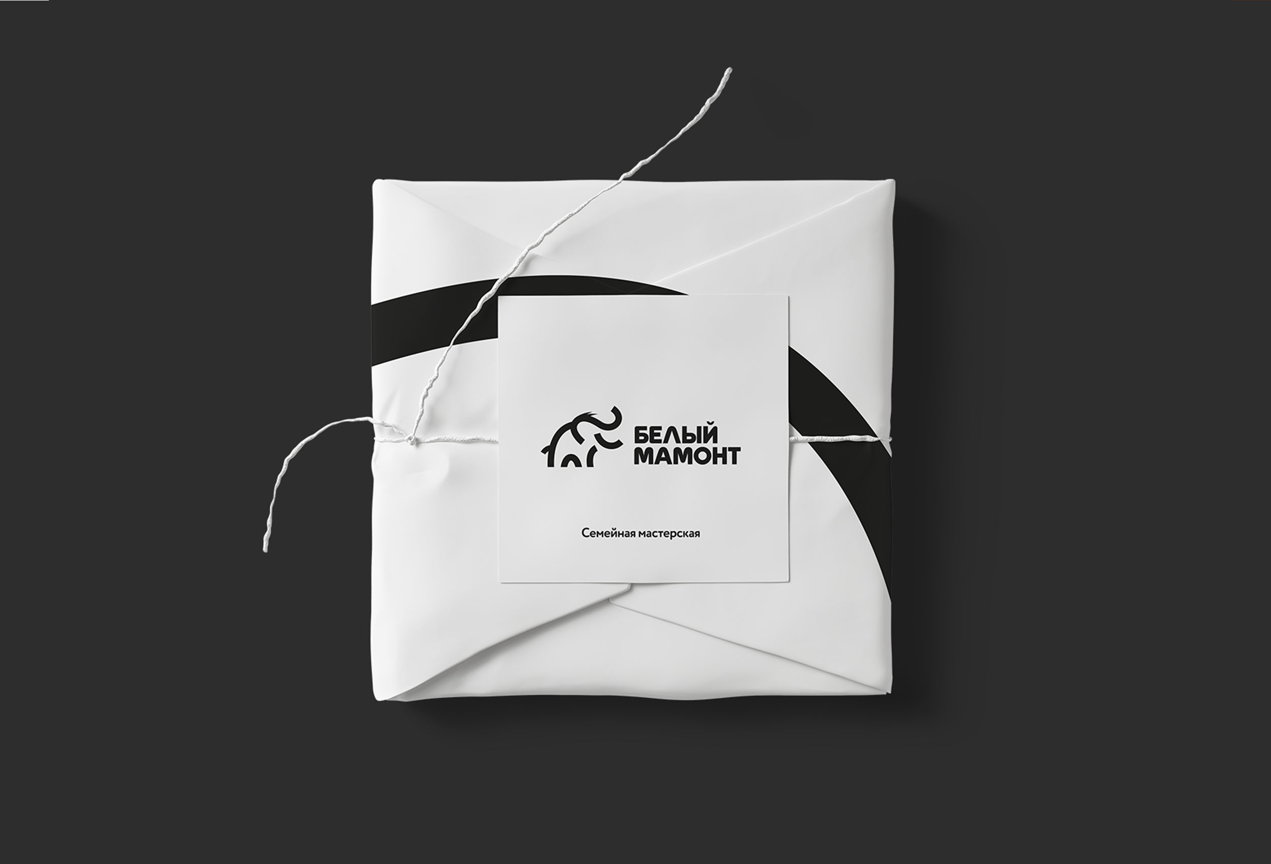 Белый мамонт — Изображение №18 — Брендинг на Dprofile