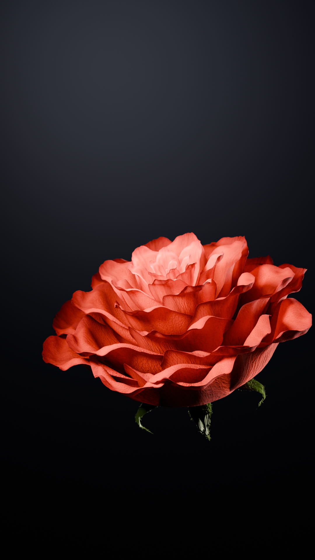 ROSE BLOOM — Изображение №3 — 3D, Анимация на Dprofile