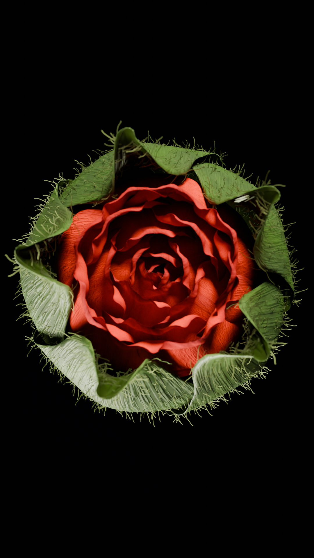 ROSE BLOOM — Изображение №2 — 3D, Анимация на Dprofile