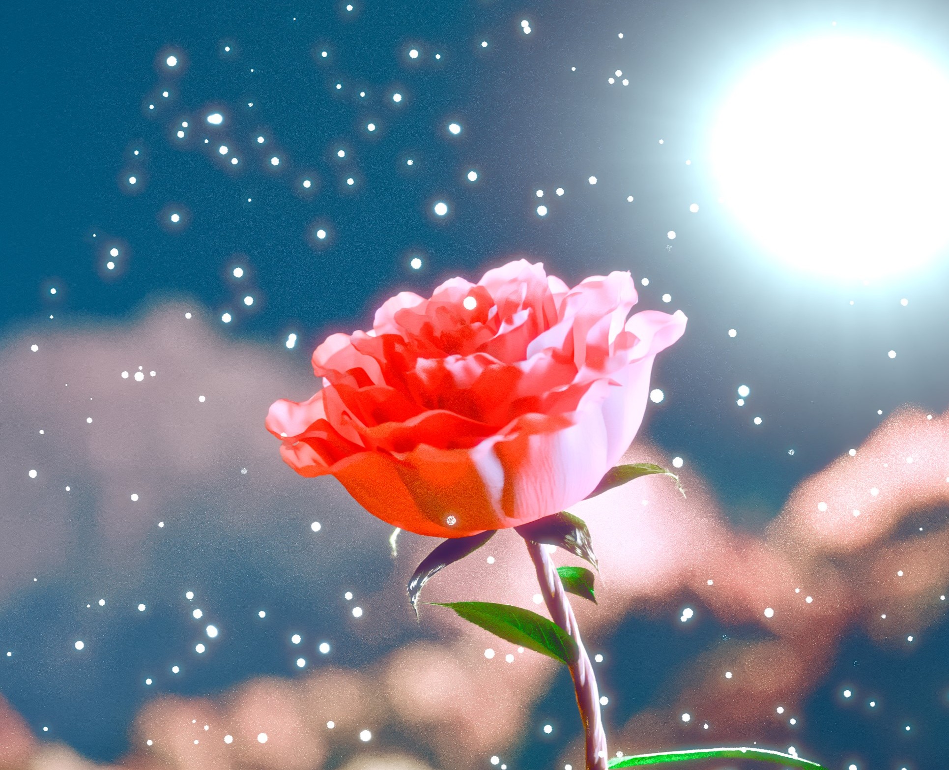 ROSE BLOOM на Dprofile