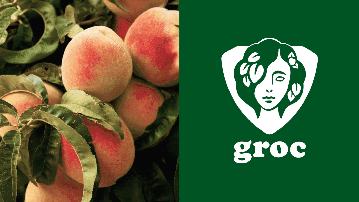 Агрохолдинг "GROC"|создание айдентики — Изображение №3 — Брендинг, Графика на Dprofile