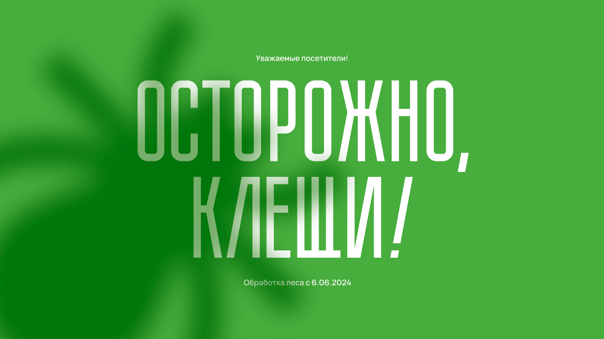 Навигация в Берёзовском лесу в Воткинске — Изображение №5 — Брендинг, Графика на Dprofile
