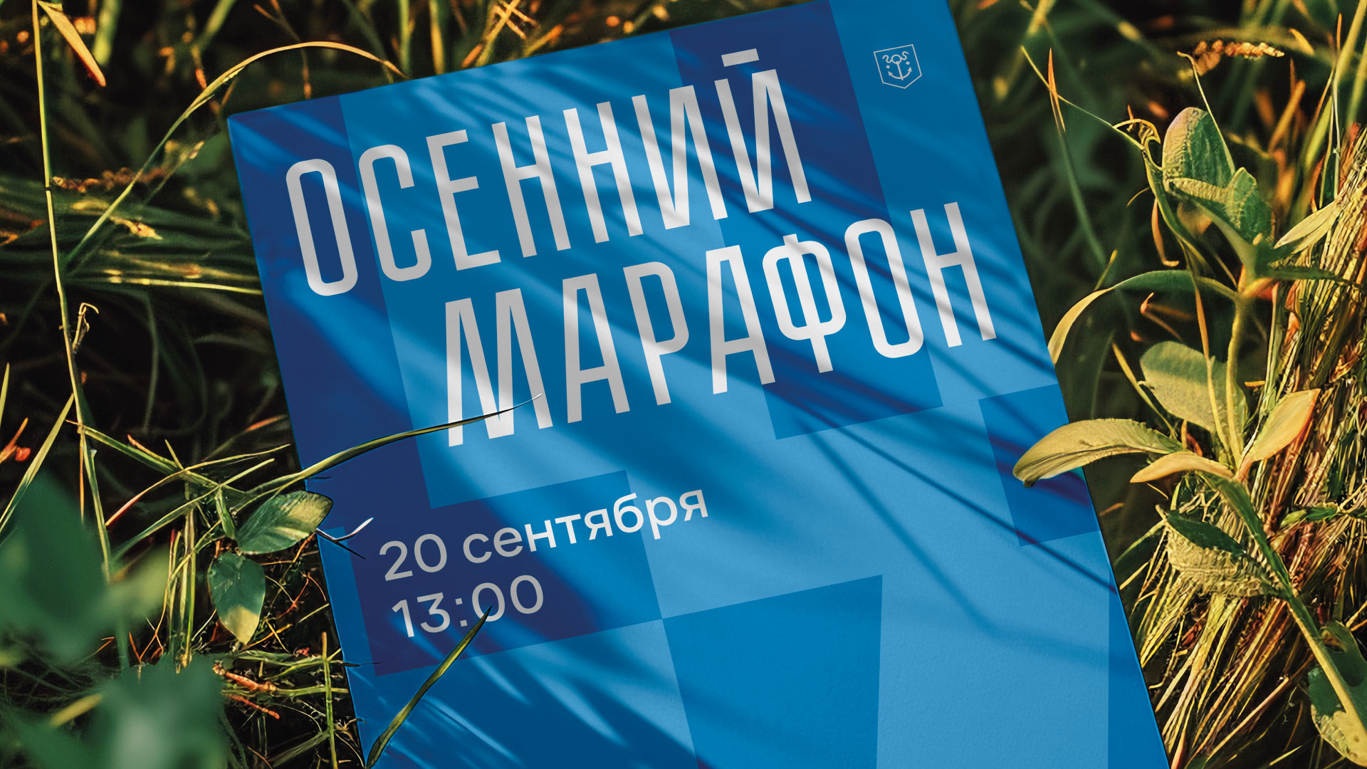Навигация в Берёзовском лесу в Воткинске — Изображение №12 — Брендинг, Графика на Dprofile