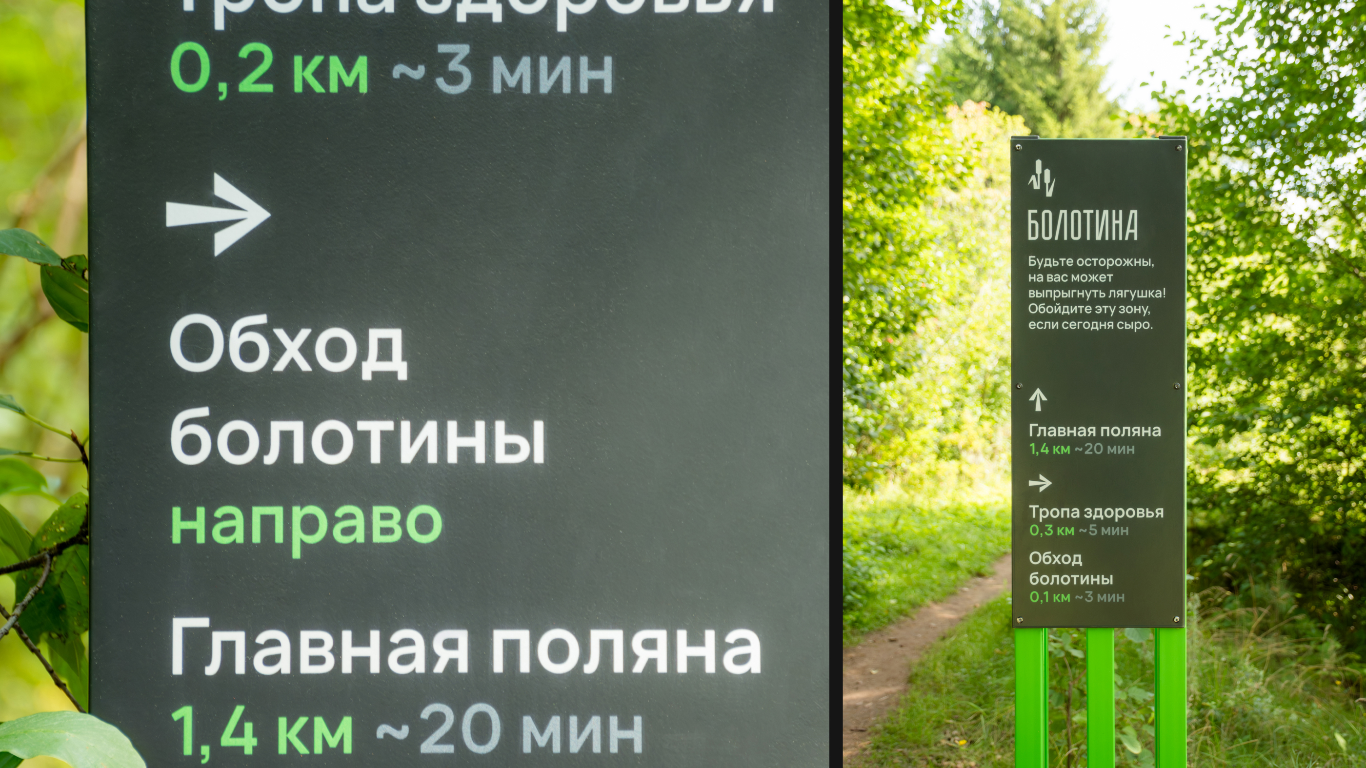 Навигация в Берёзовском лесу в Воткинске — Изображение №36 — Брендинг, Графика на Dprofile