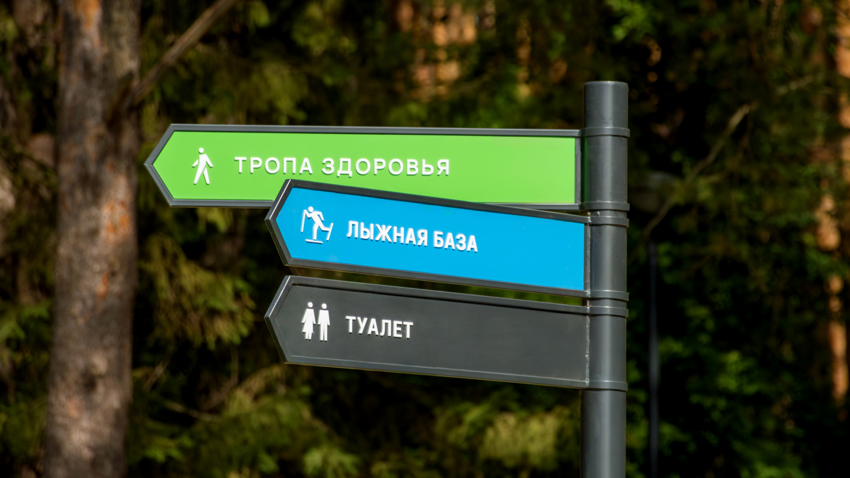 Навигация в Берёзовском лесу в Воткинске — Изображение №25 — Брендинг, Графика на Dprofile