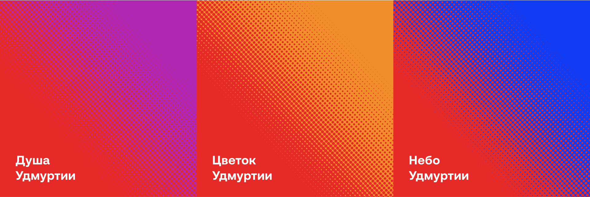 Ливрея «Ижавиа» — Изображение №12 — Брендинг, Графика на Dprofile