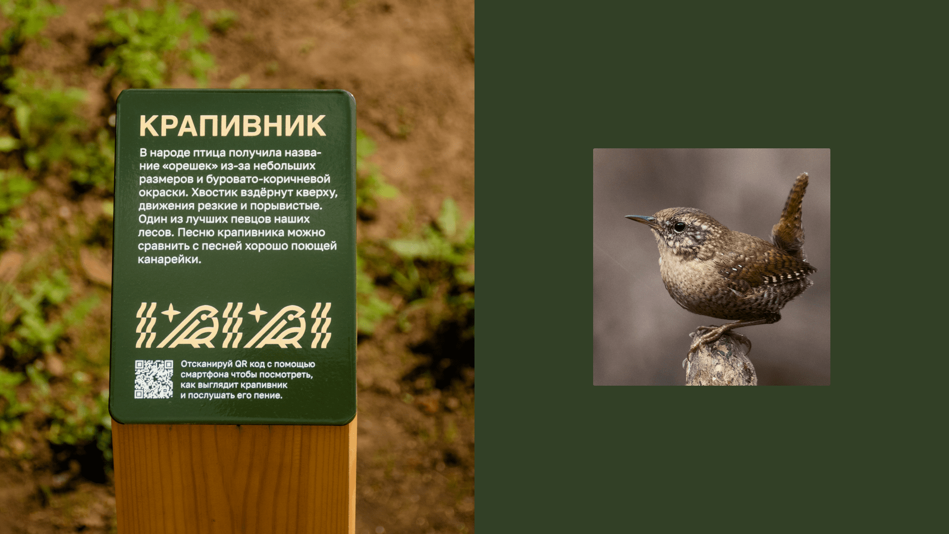 Навигация в парке «Тишино» — Изображение №23 — Брендинг на Dprofile