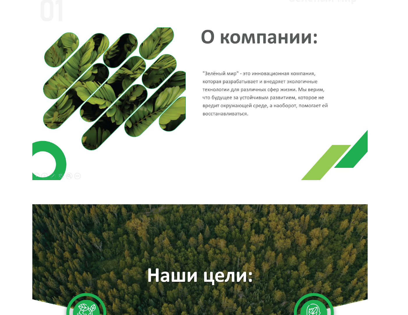 Презентация компании "Зеленый мир" — Изображение №2 — Маркетинг на Dprofile