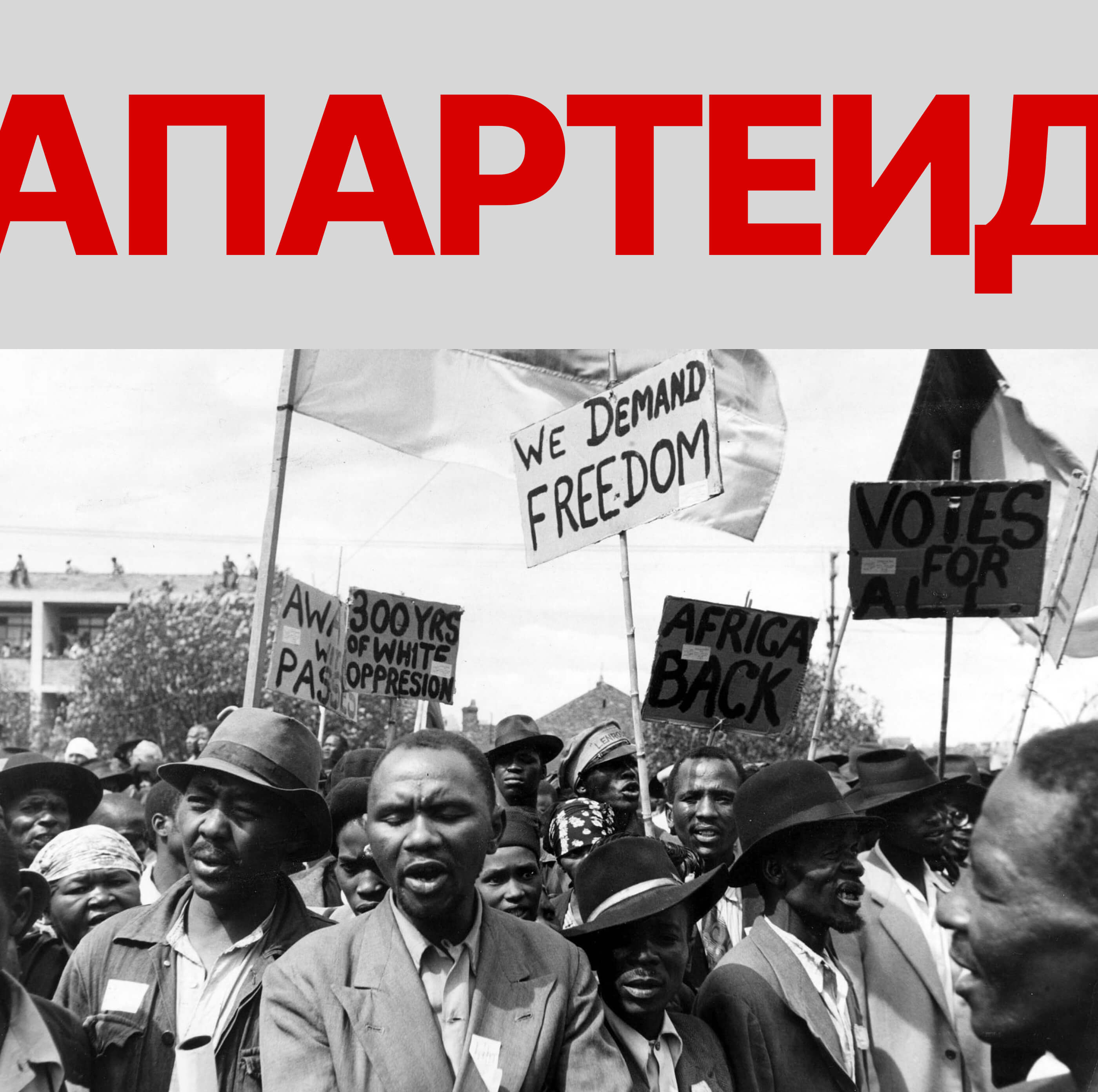 Лонгрид про апартеид — Изображение №1 — Интерфейсы на Dprofile