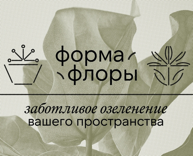Брендинг компании по озеленению пространств «Форма Флоры» на Dprofile