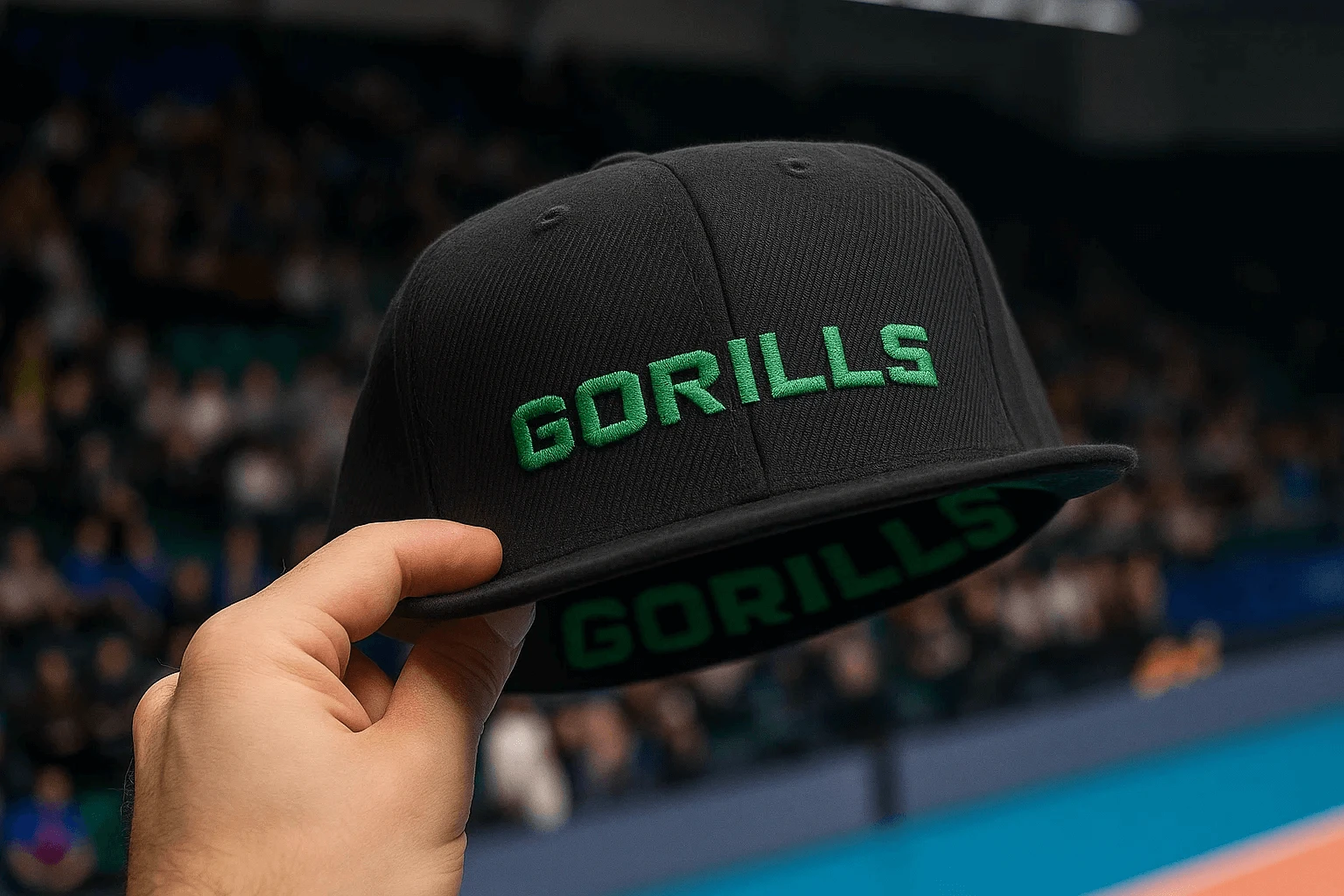 Gorills® Волейбольная команда — Изображение №16 — Брендинг, Маркетинг на Dprofile