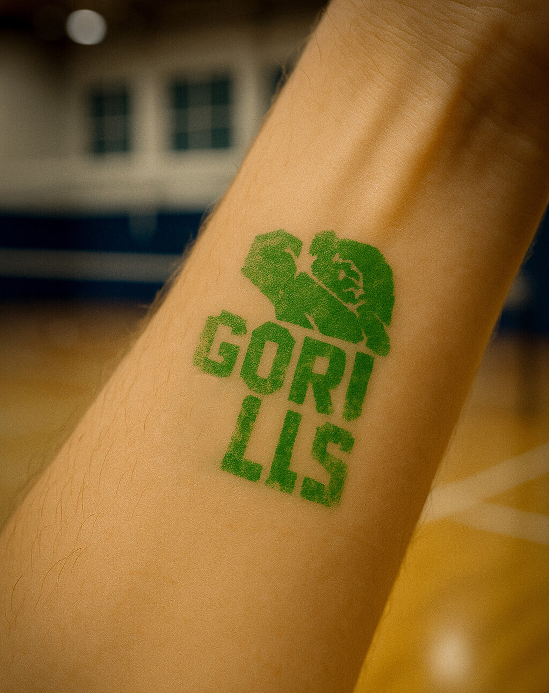 Gorills® Волейбольная команда — Изображение №18 — Брендинг, Маркетинг на Dprofile