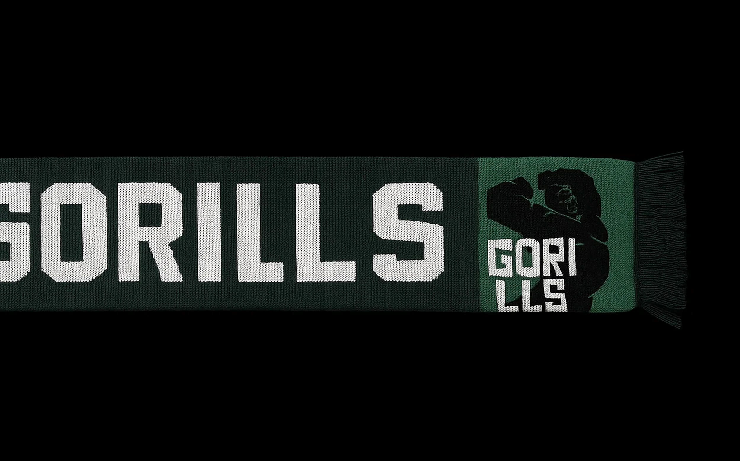 Gorills® Волейбольная команда — Изображение №9 — Брендинг, Маркетинг на Dprofile