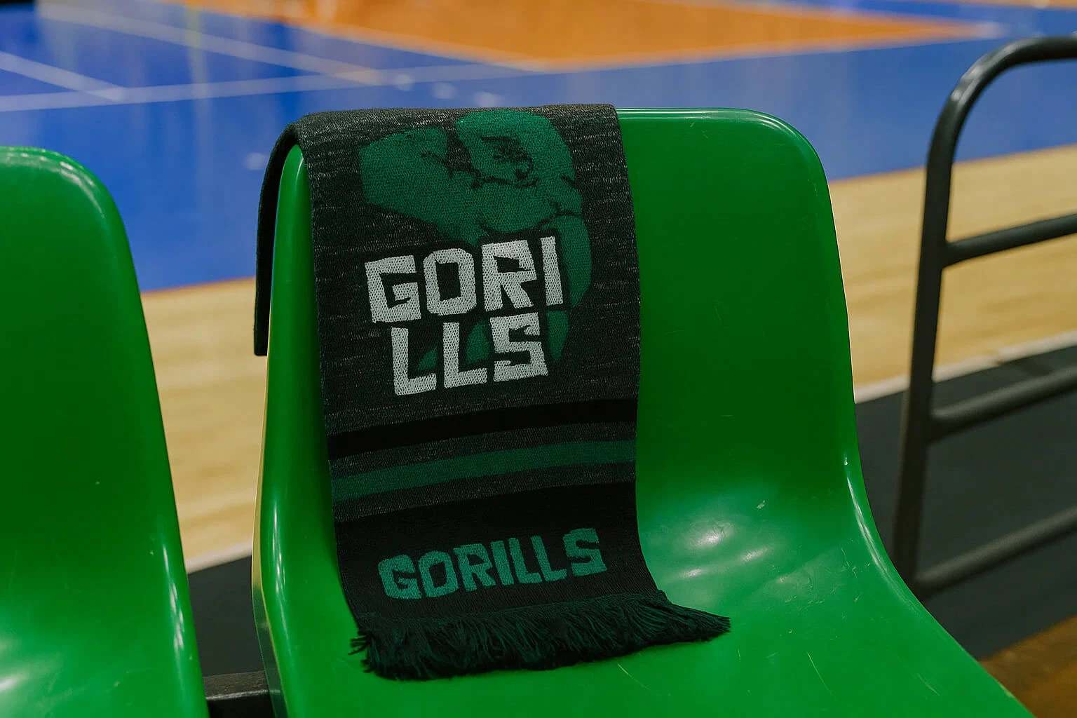 Gorills® Волейбольная команда — Изображение №10 — Брендинг, Маркетинг на Dprofile