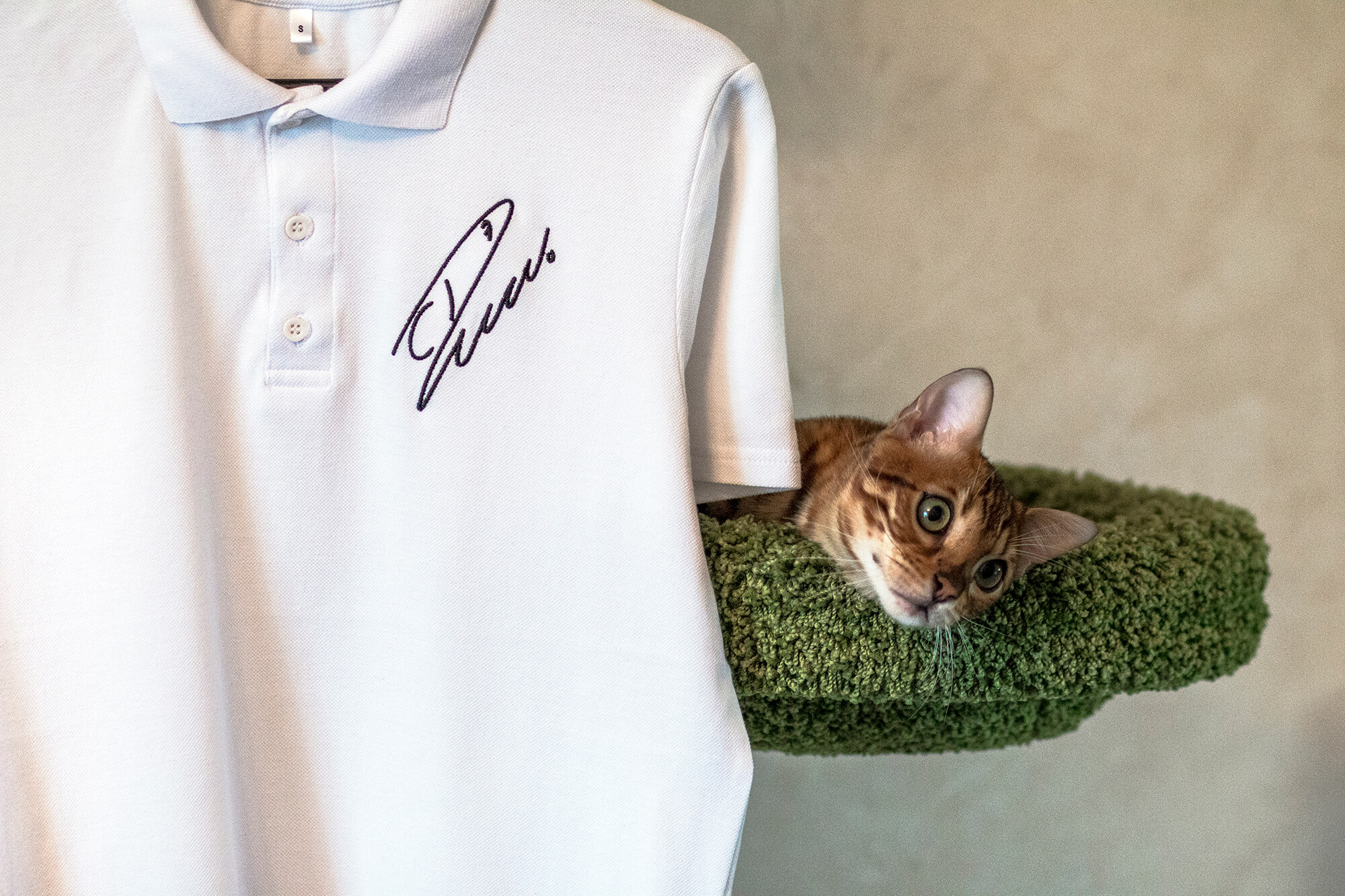 поло ручной работы | мерч — Изображение №22 — Брендинг, Маркетинг на Dprofile