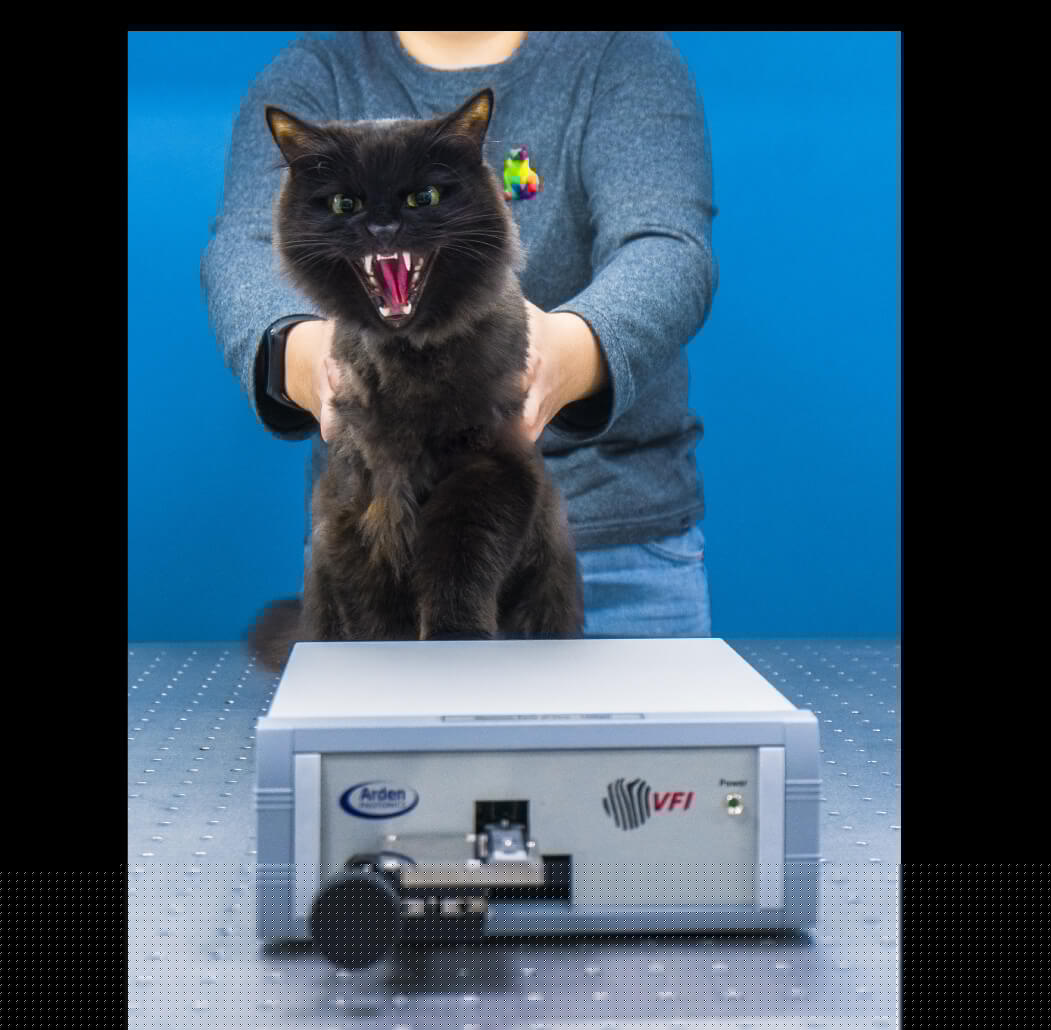 календарь с животными — Изображение №36 — Графика на Dprofile