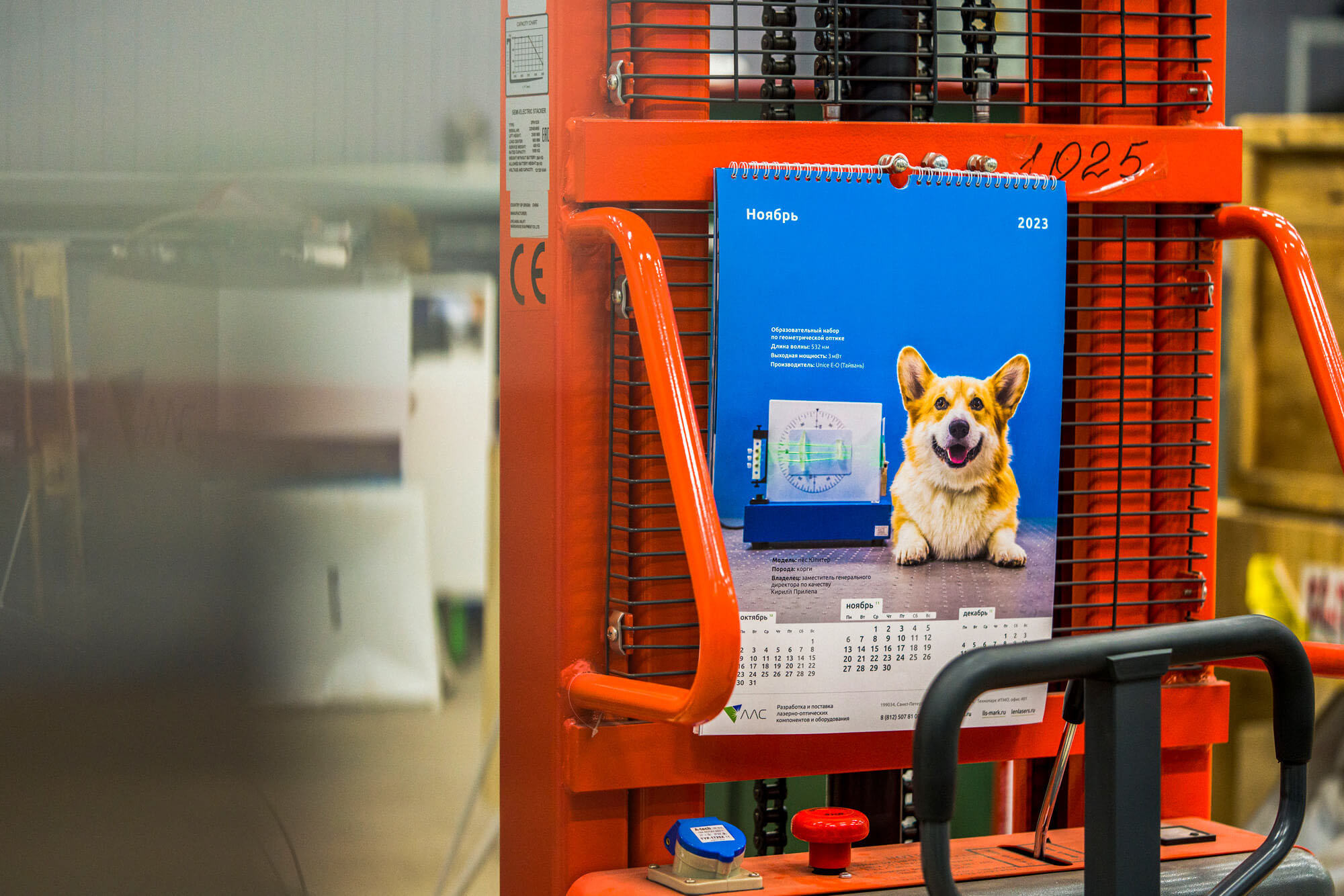 календарь с животными — Изображение №1 — Графика на Dprofile