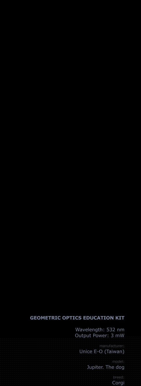 календарь с животными — Изображение №42 — Графика на Dprofile