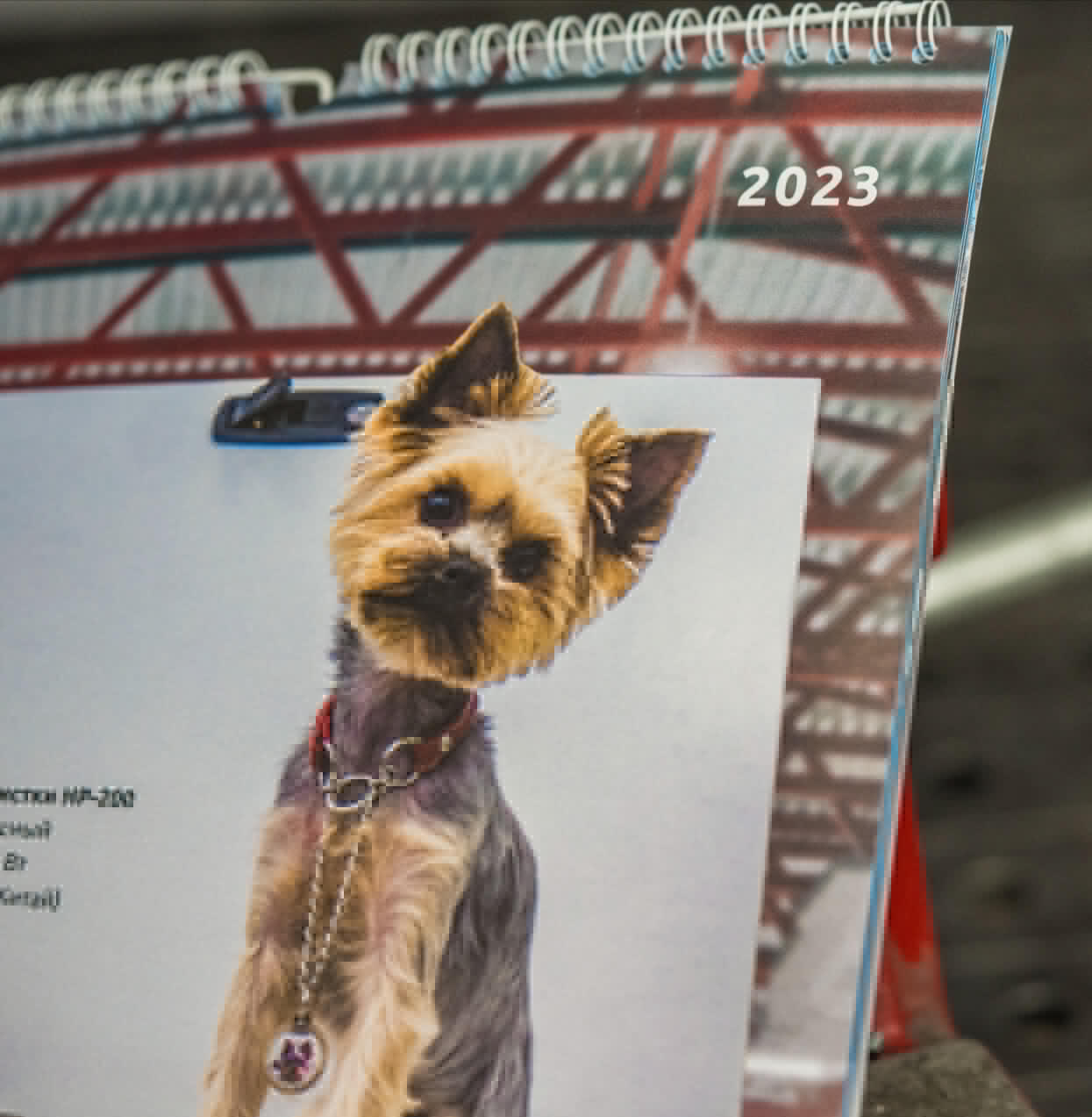 календарь с животными — Изображение №39 — Графика на Dprofile