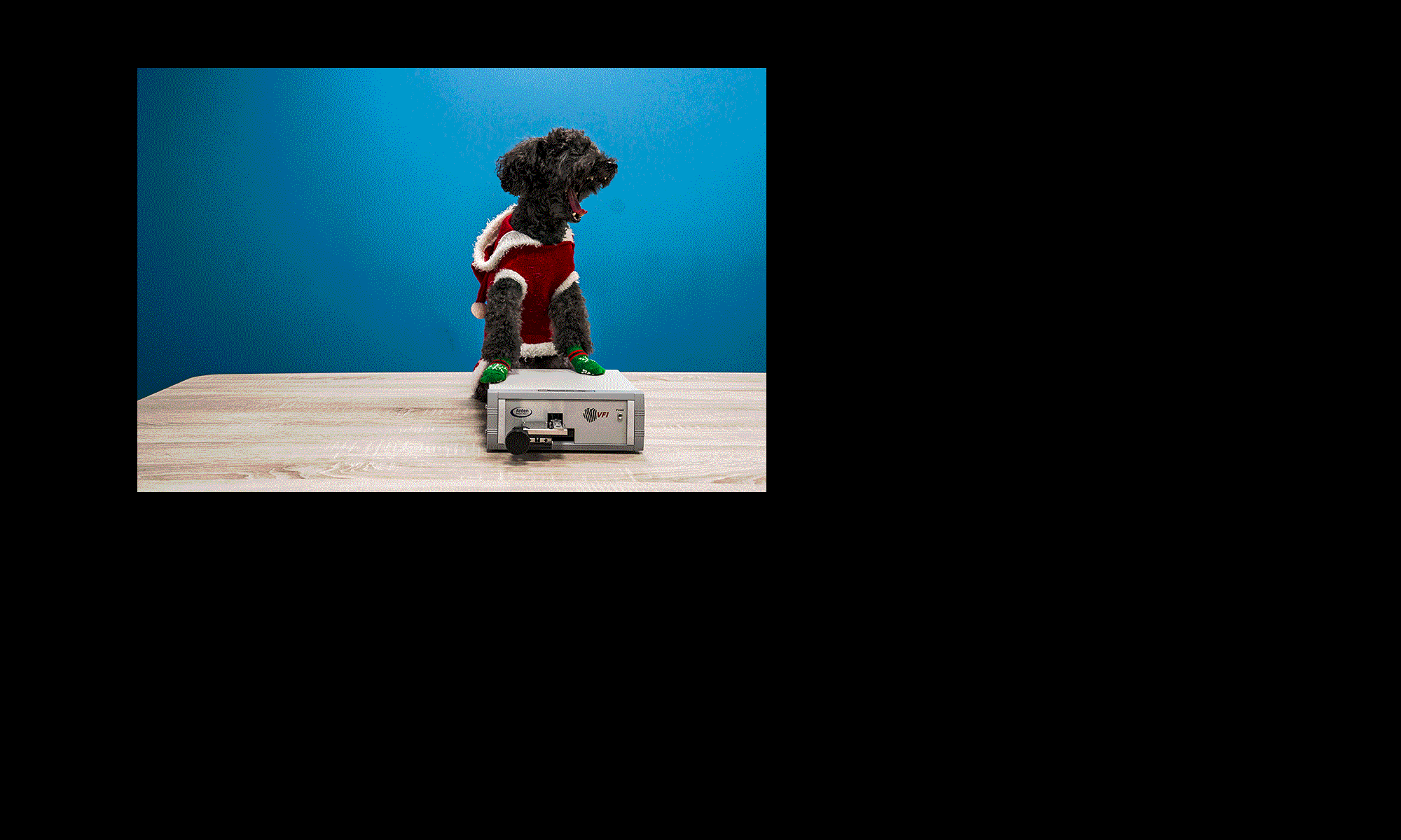 календарь с животными — Изображение №31 — Графика на Dprofile