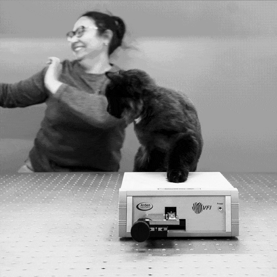 календарь с животными — Изображение №18 — Графика на Dprofile